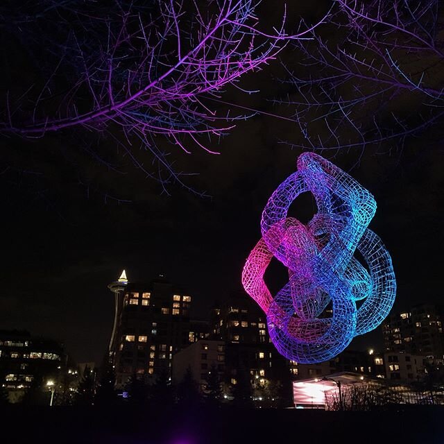 &lsquo;Entwine&rsquo; by @abigail_maxey at #SAMlights tonight. SEATTLE light art scene is blooming beautifully.

#seattle #artcommunity #olympicsculpturepark #lightart #sculpture @spaceneedle