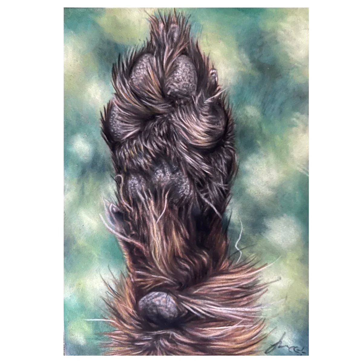 IMG_5374.jpeg