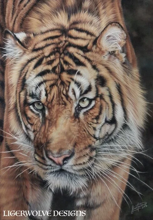 fullsizeoutput_a6 copy.jpeg