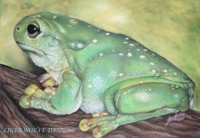 Small World - Reference by Janet Thatcher.jpg