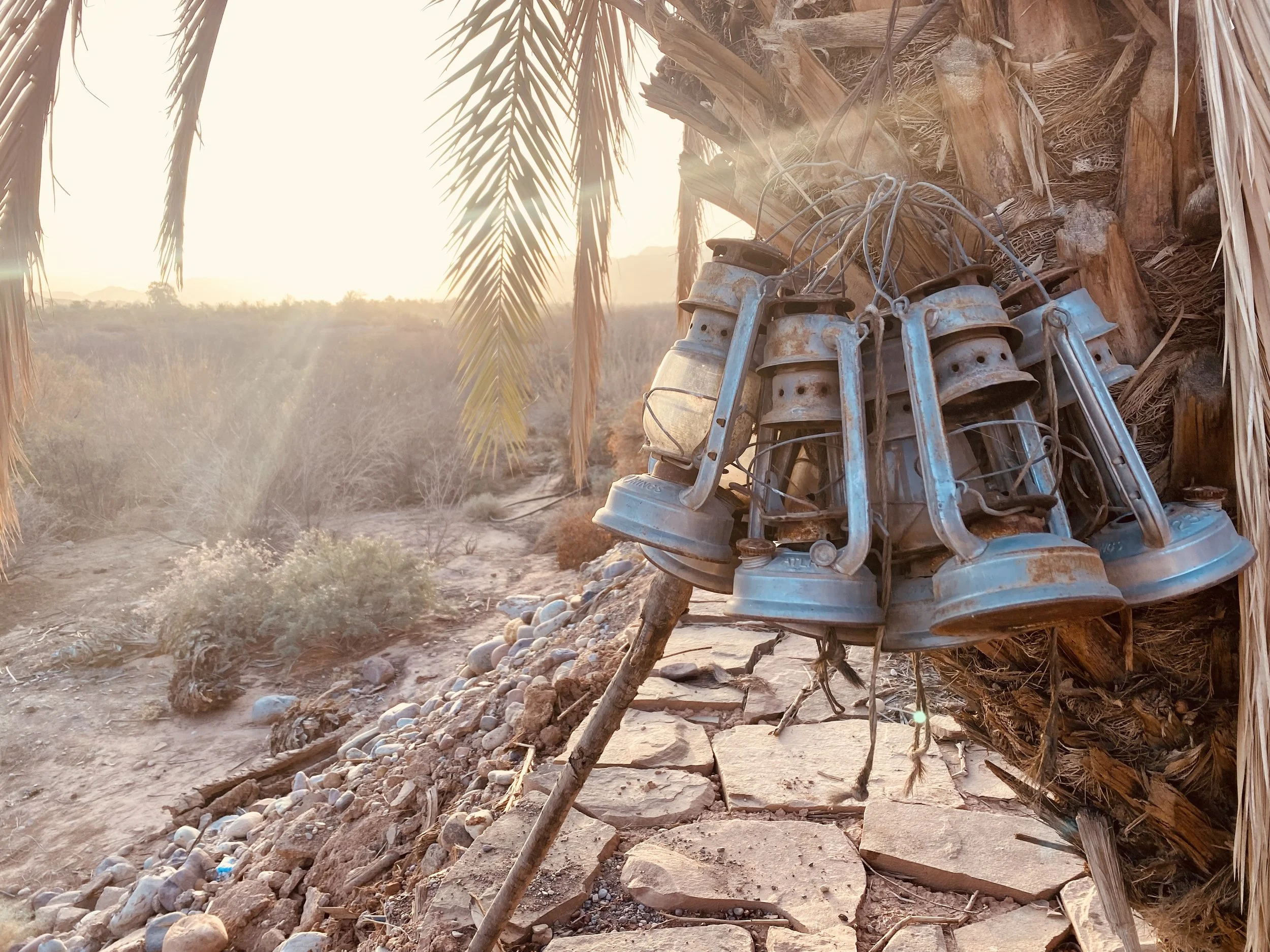 Photo 04-11-2022, 08 06 54.jpg