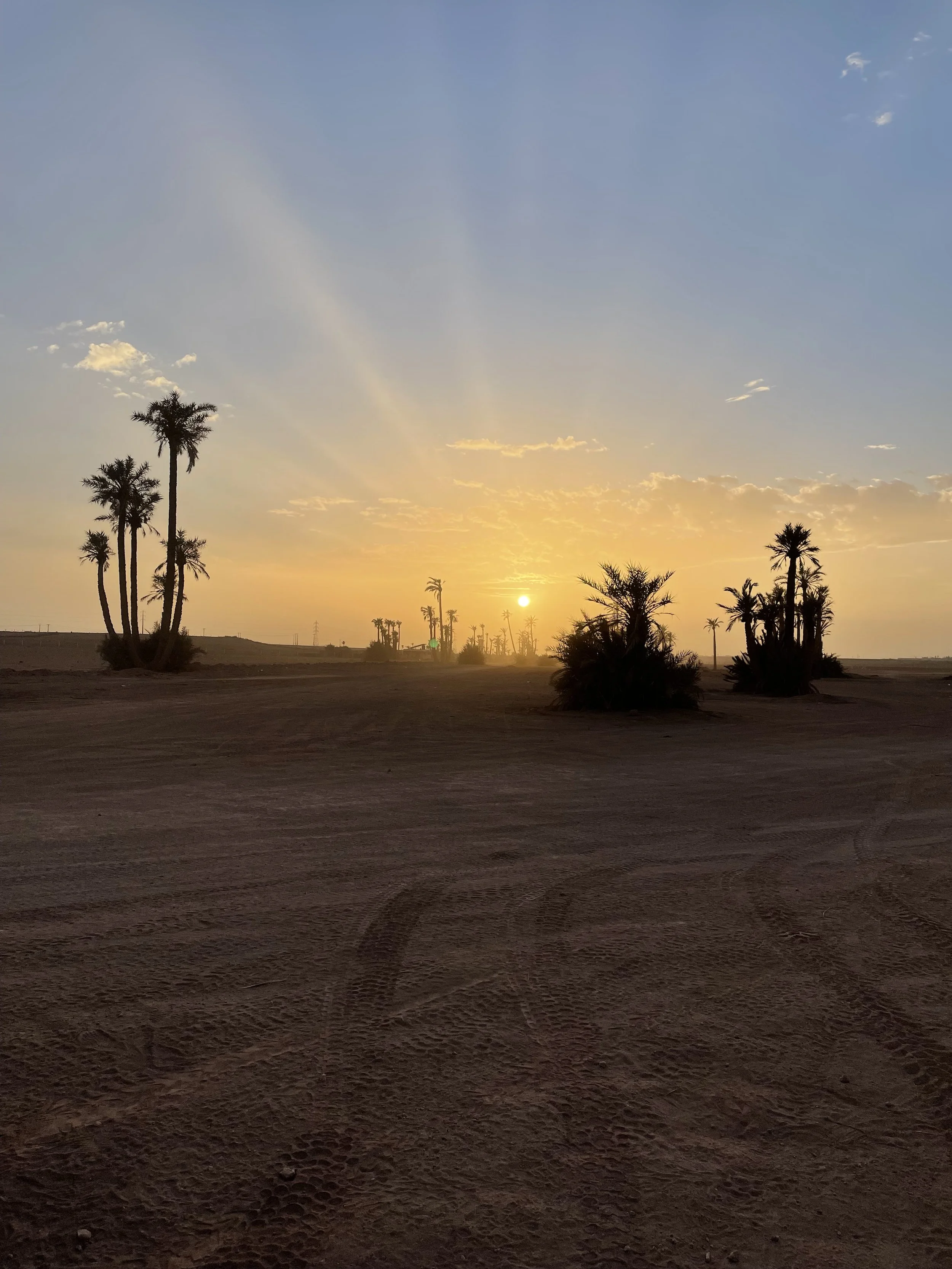 Photo 02-11-2022, 18 22 33.jpg