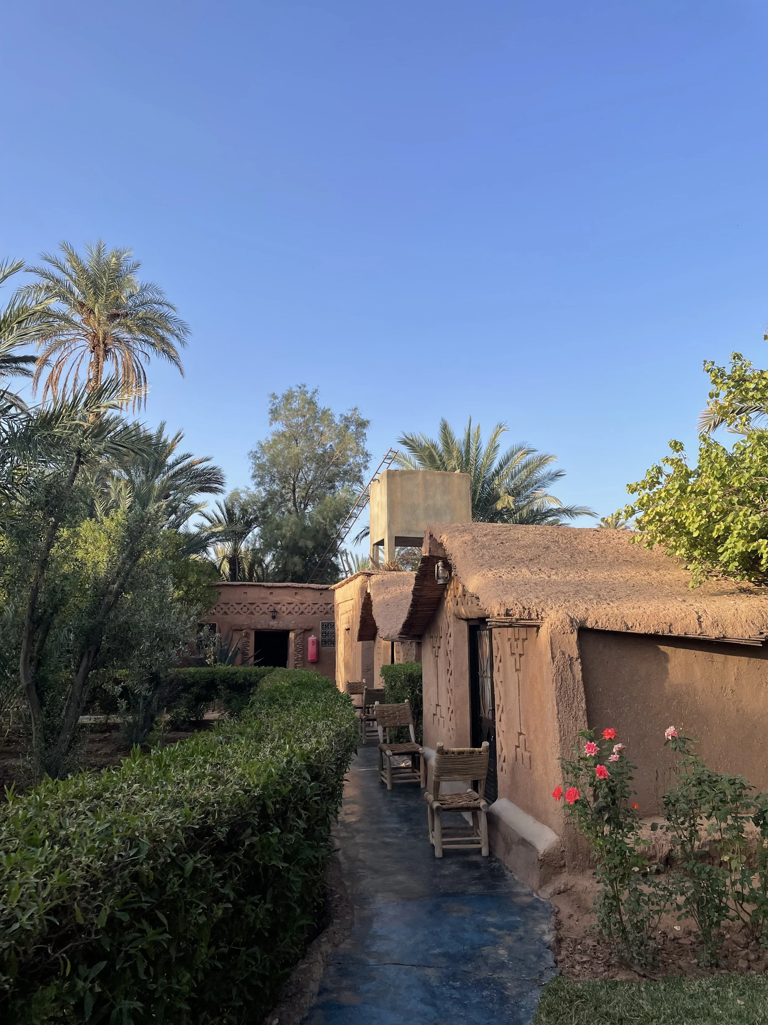 Photo 04-11-2022, 08 45 29.jpg