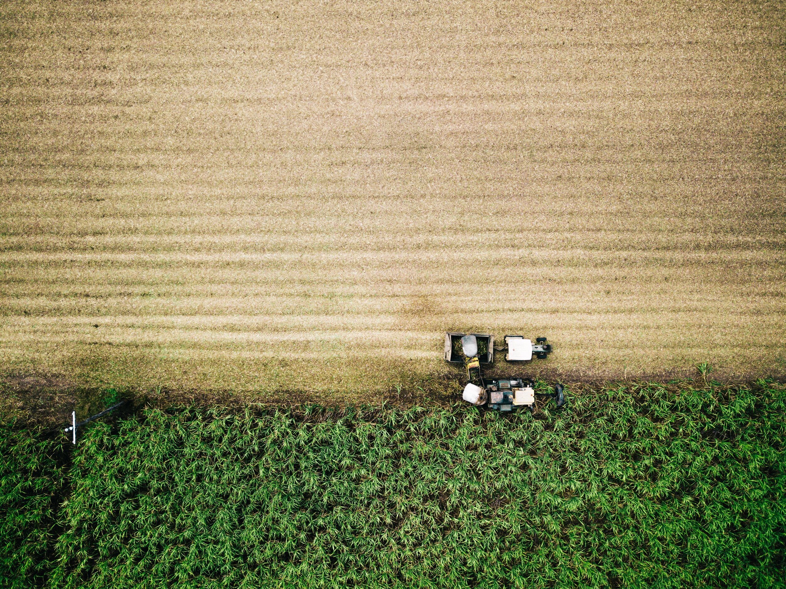 Source: Unsplash