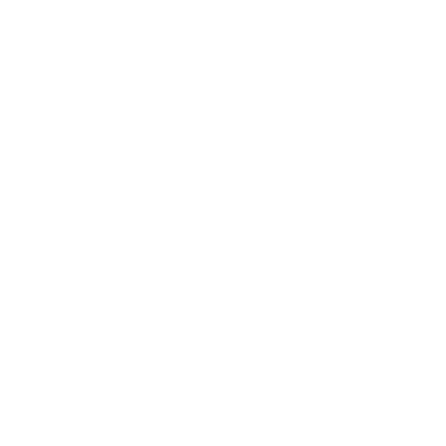 THE SOULARIUM COLLECTIVE