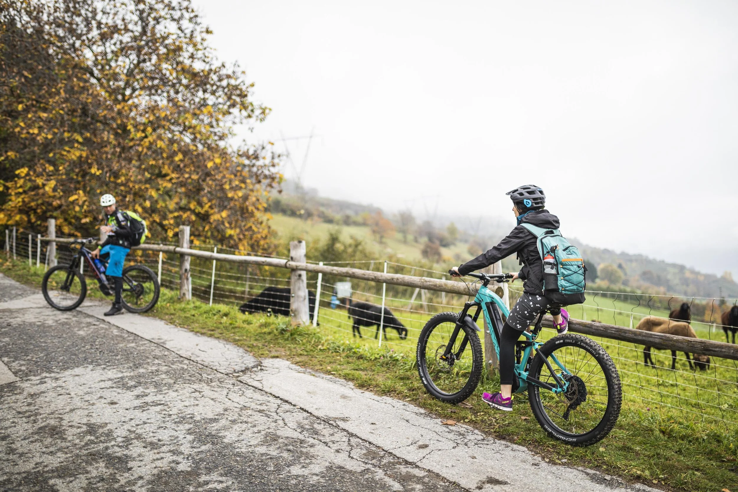 Venusta BIKE ©arminhuber_low-30.jpg