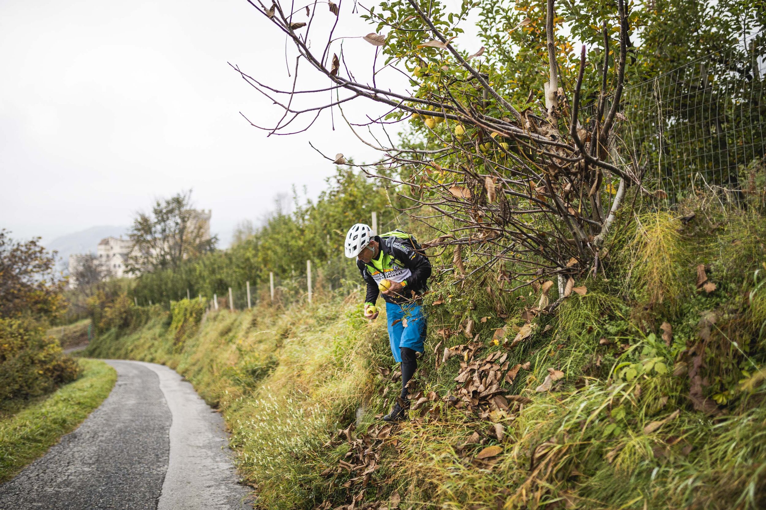 Venusta BIKE ©arminhuber_low-31.jpg