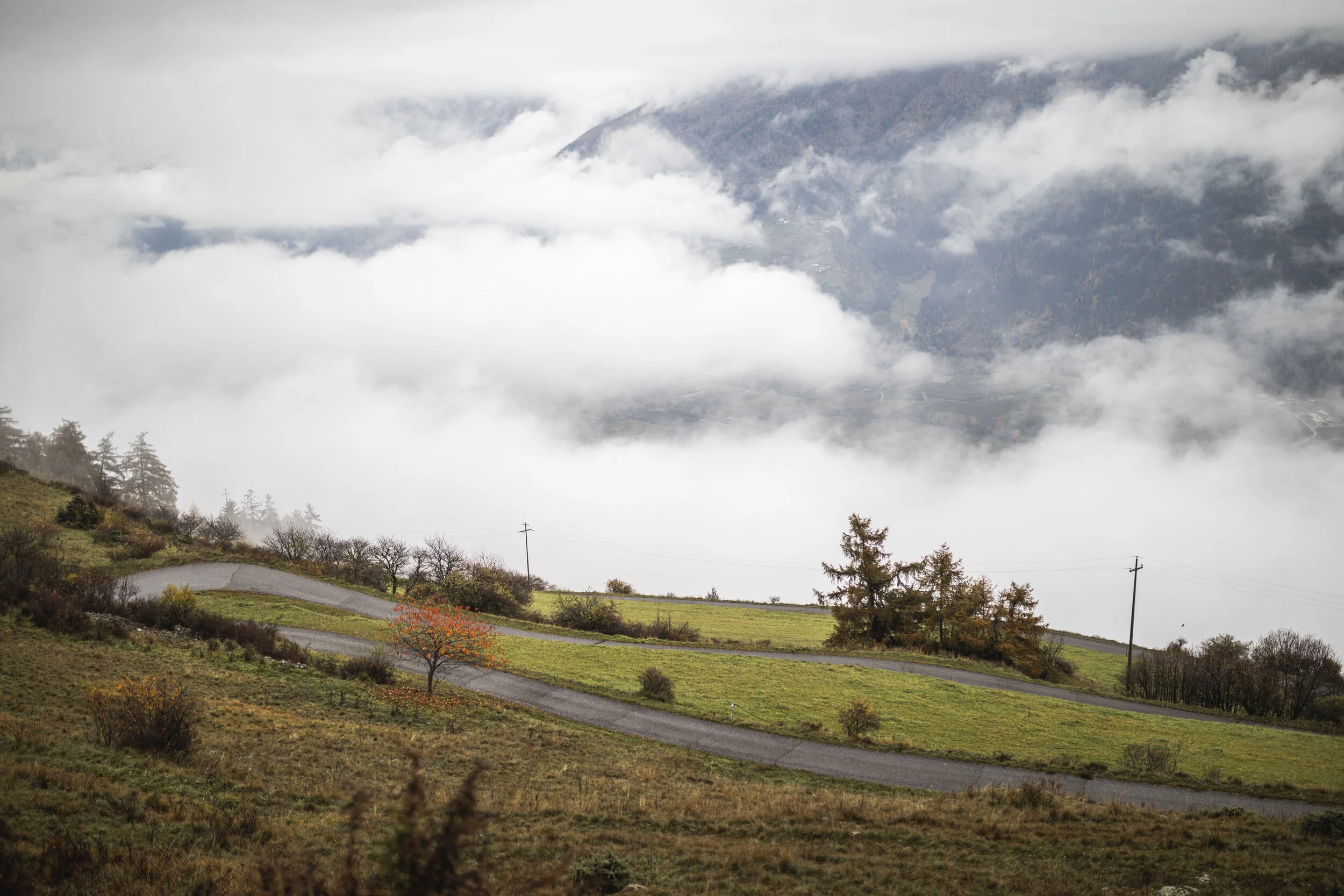 Venusta BIKE ©arminhuber_low-54.jpg