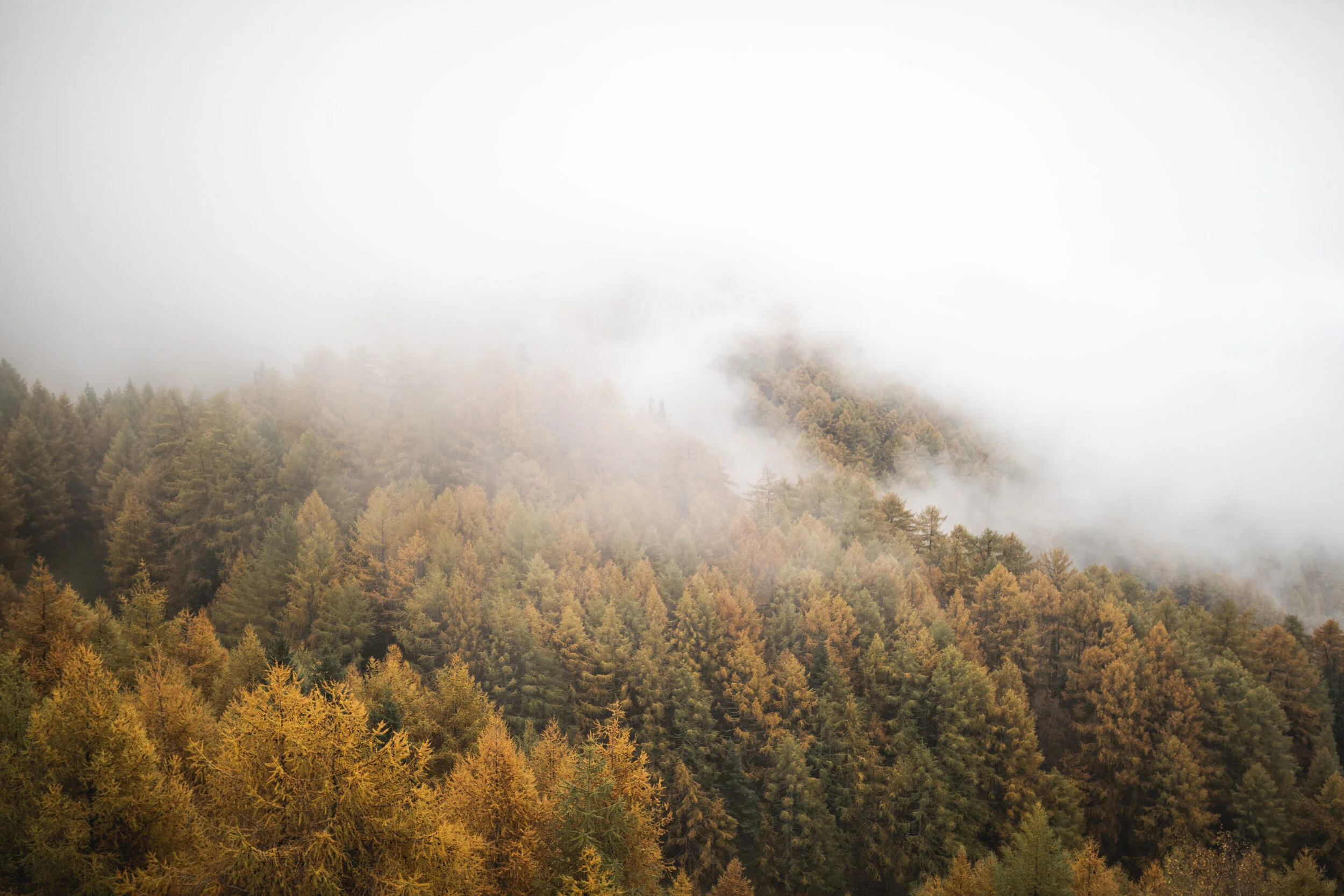 Venusta BIKE ©arminhuber_low-72.jpg