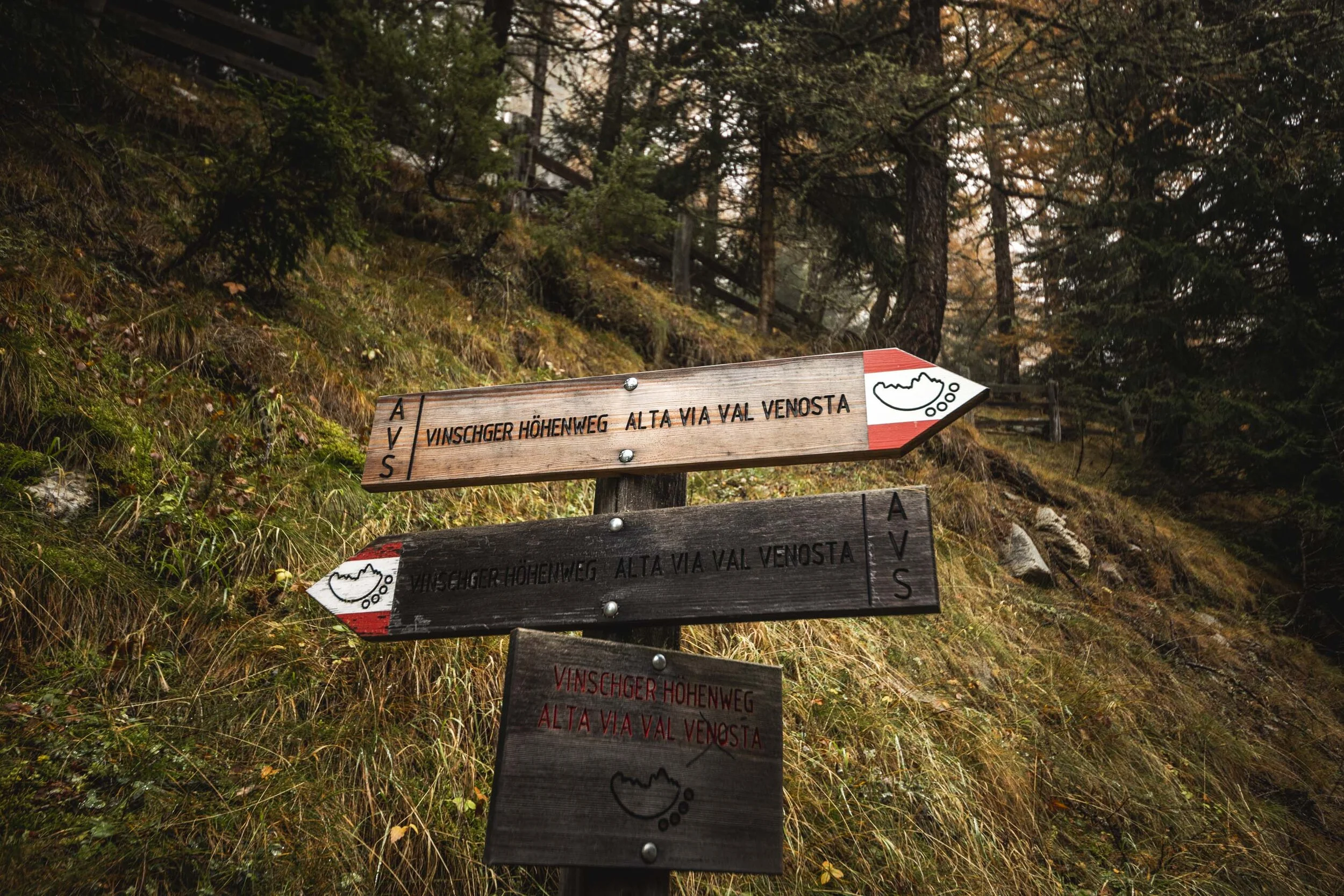 Venusta BIKE ©arminhuber_low-77.jpg