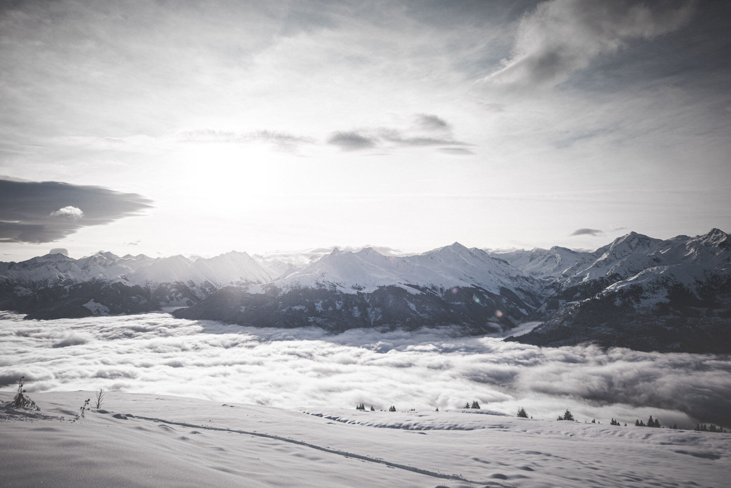 Alexis Folio ©arminhuber-4.jpg