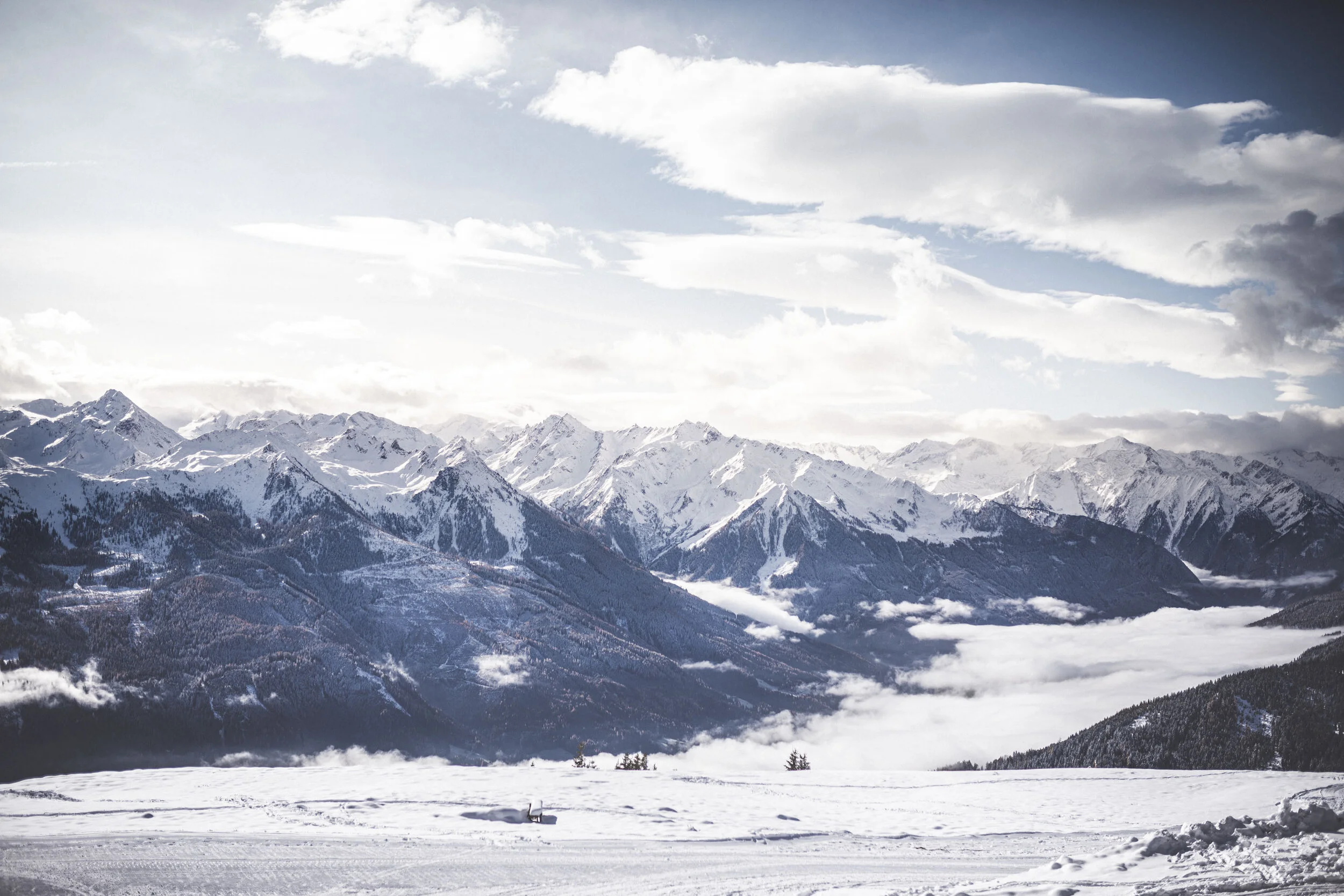 Alexis Folio ©arminhuber-10.jpg