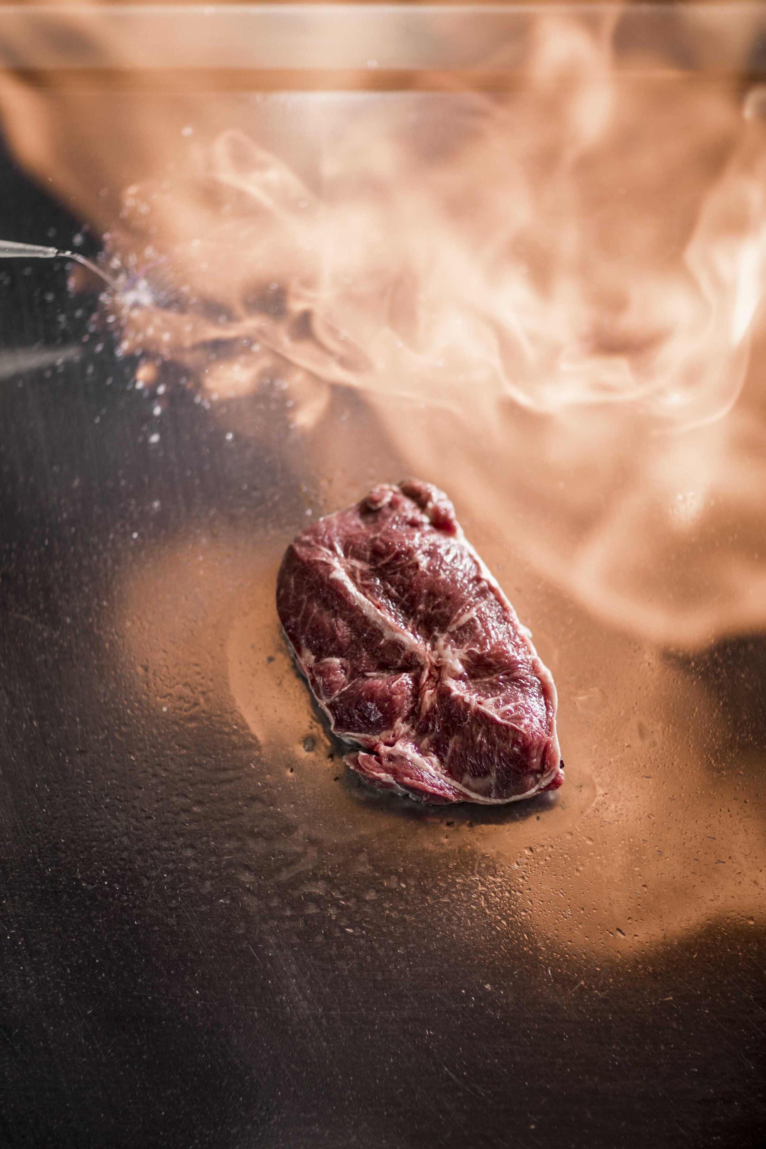 Cook Or Die ambiente ©arminhuber_Low-67.jpg