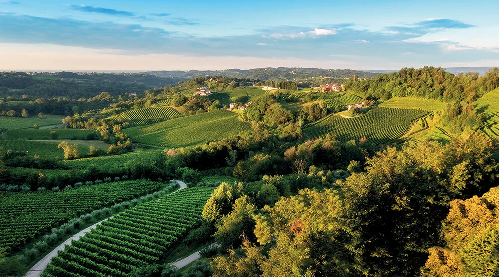 T.Fate&Pros.R.. '18 -4 II(f39).jpg