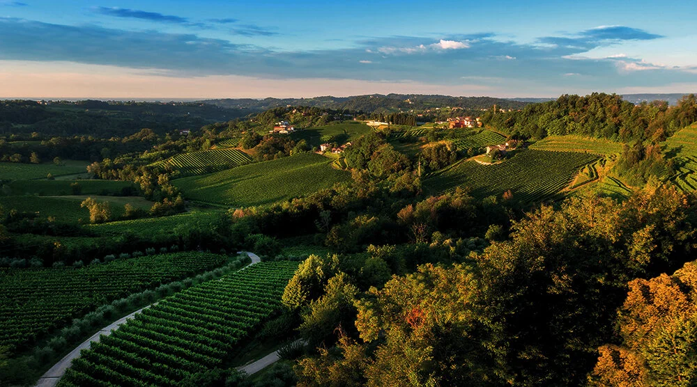 PANORAMIC-VIEW.jpg
