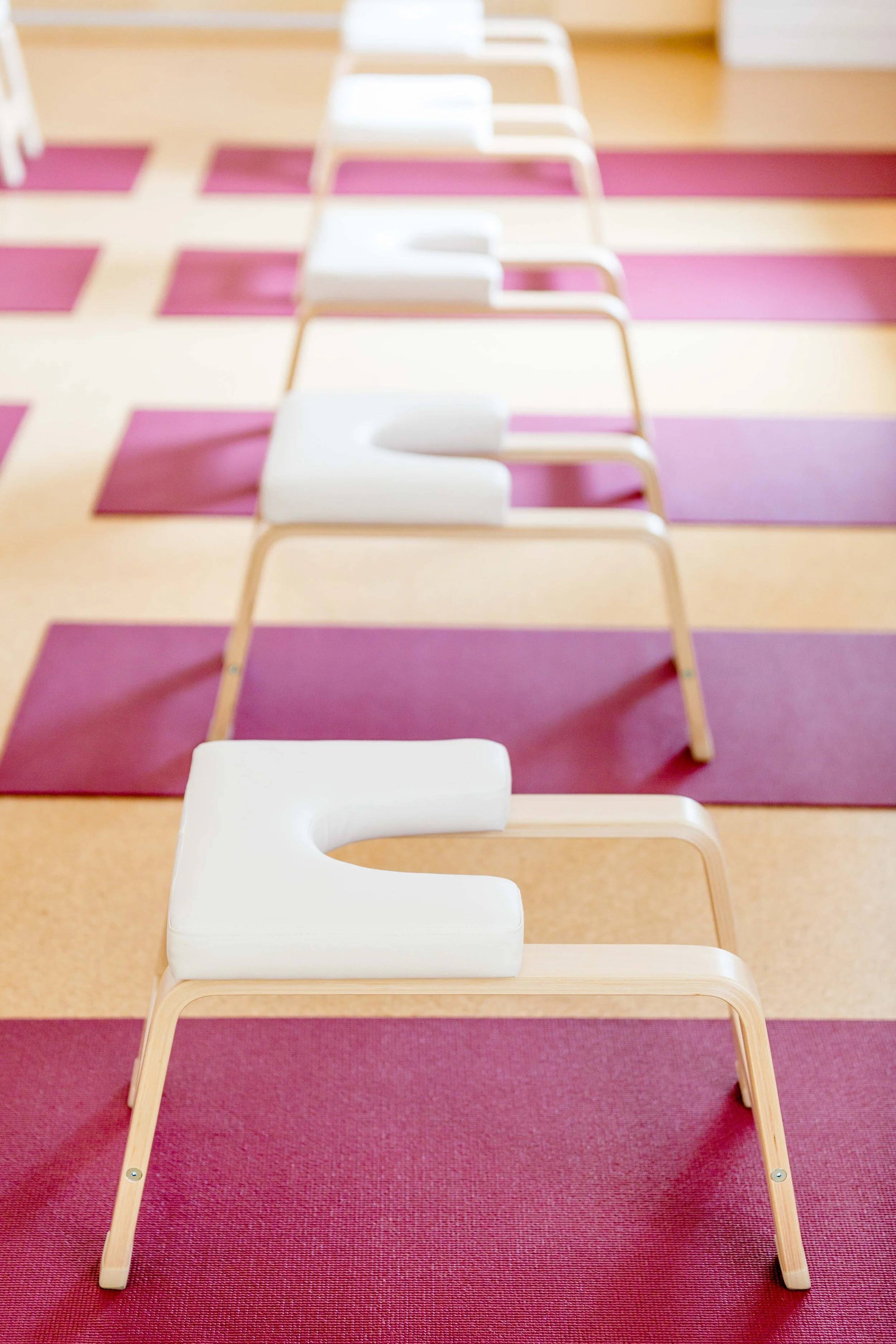  Yoga mit Nazanin Vaghefinia 