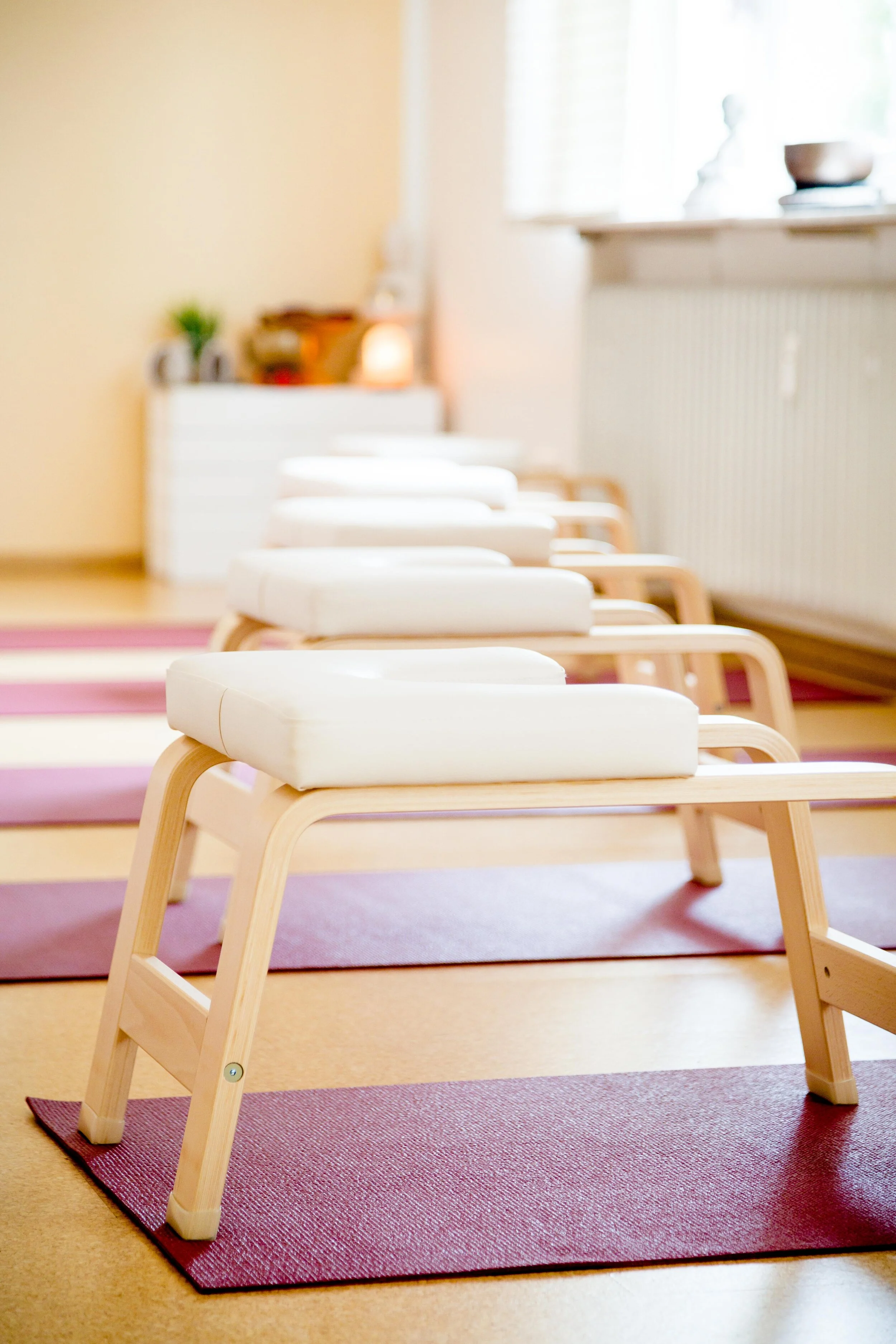  Yoga mit Nazanin Vaghefinia 