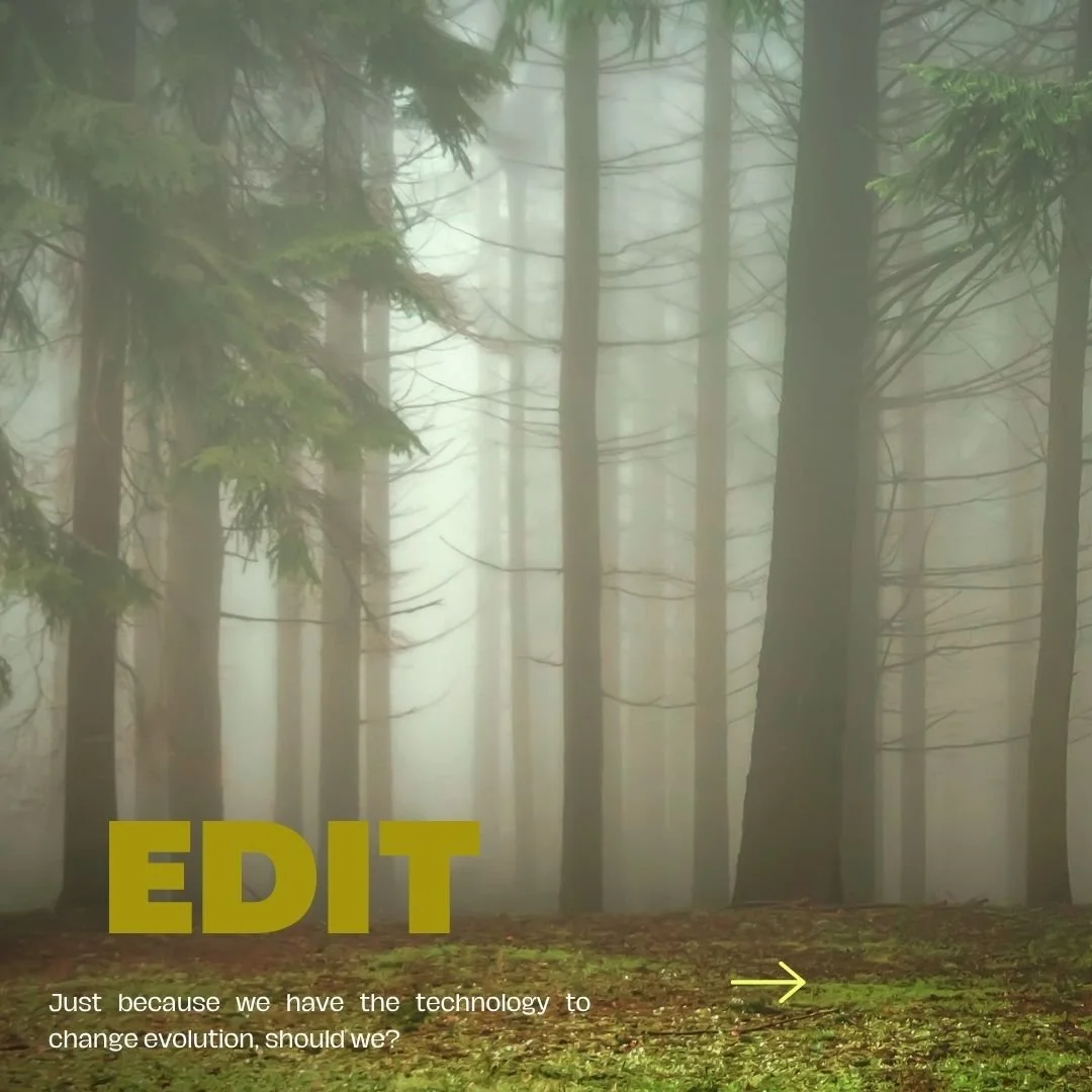 Edit - High-concept sci-fi drama written by Kerri McLean