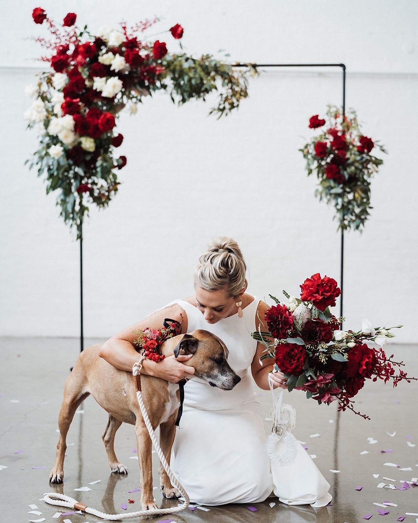 Best. Bride squad. Ever

💐@anatomyofflowers
📸 @nickskinnerweddings

#dogsofinstagram #bridesmaids #bridalparty #bridesquad #maidofhonor #bestman #ceremony #celebrant #wedding #party #galsbestfriend