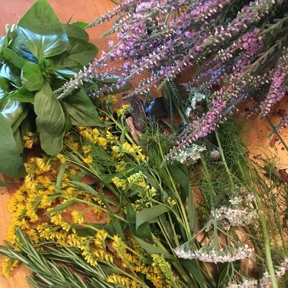 Summer Solstice Gathering