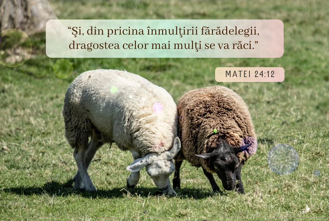 Pune Doamne dragoste-ntre frați.jpg
