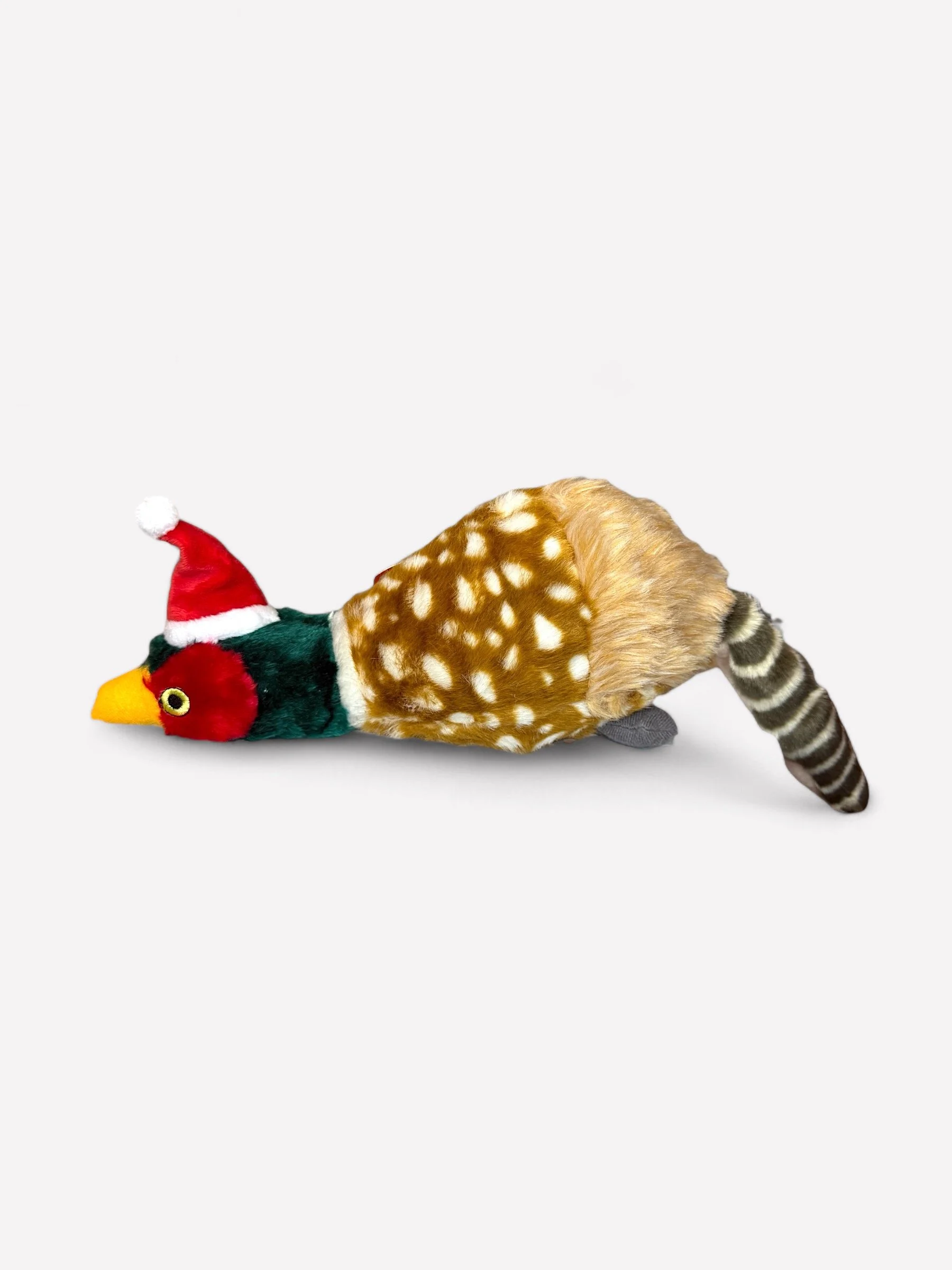 Pheasant with Santa Hat