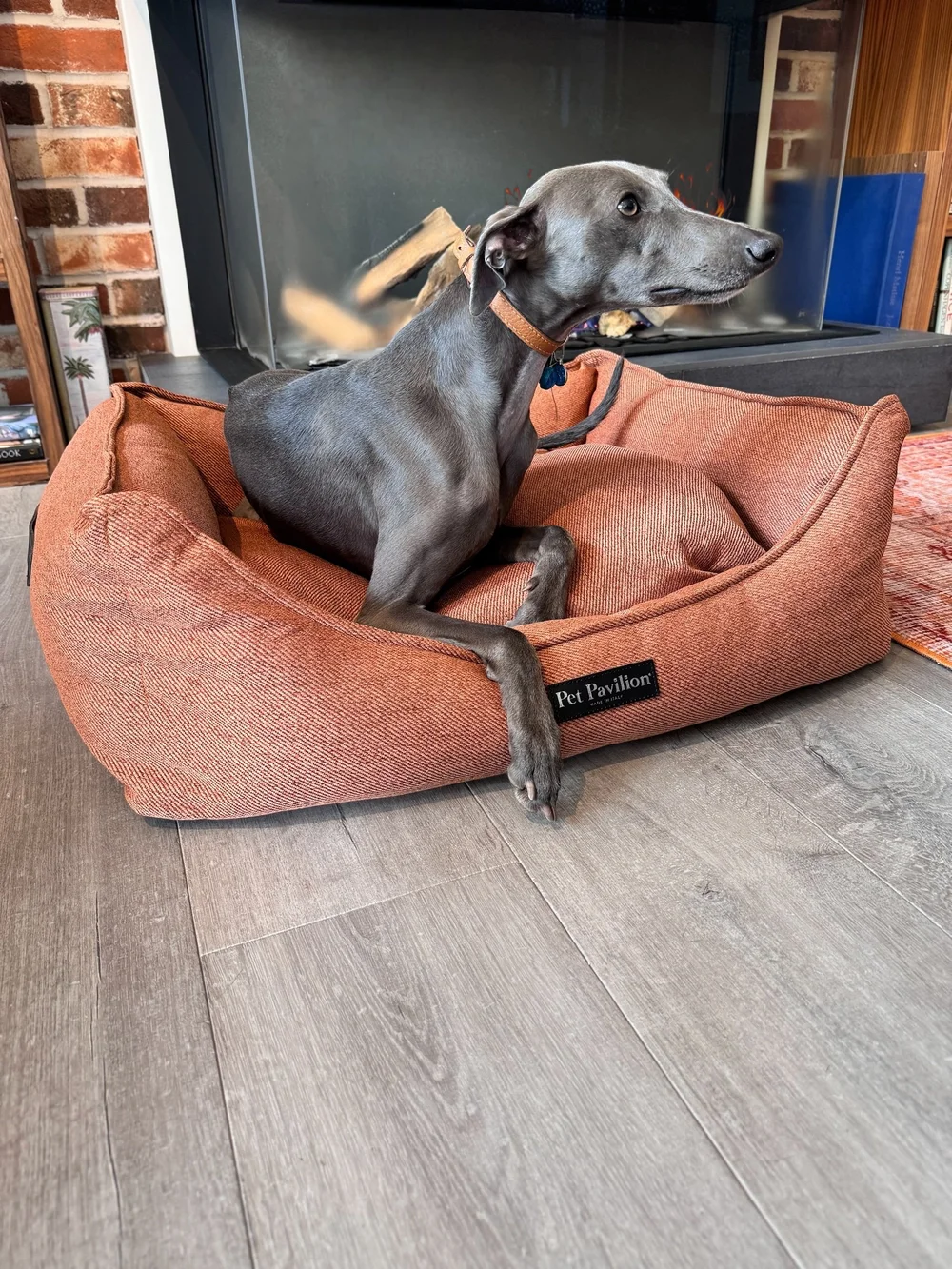 Pet Grooming Eltham Groom Room Laura Ashley Pets At Home Wimbledon