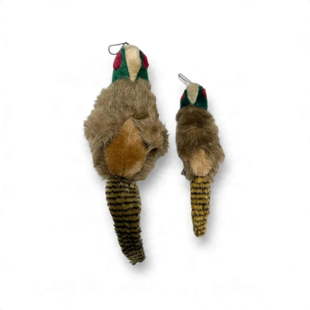 Pet Pavilion Pheasant