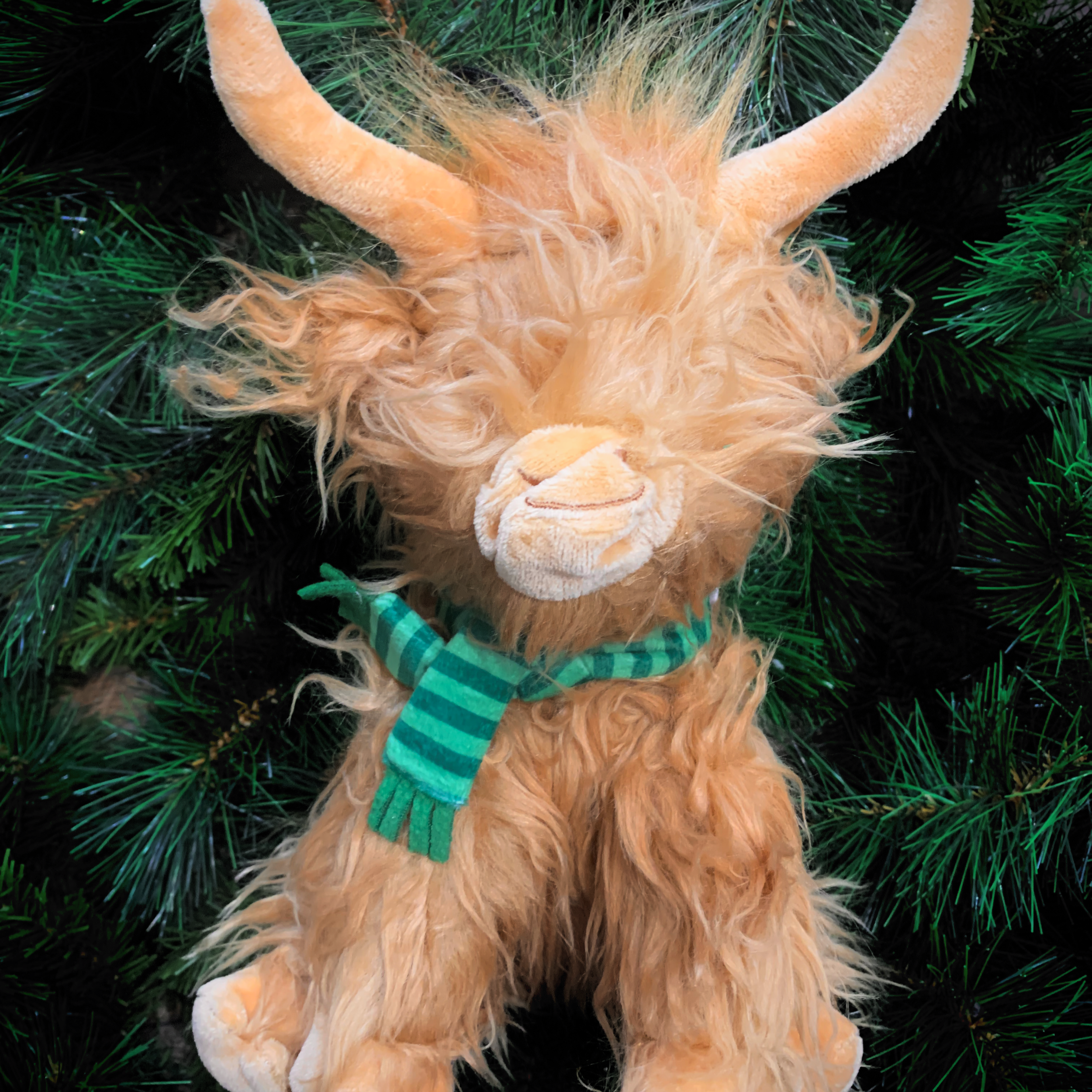 Festive Highland Cow