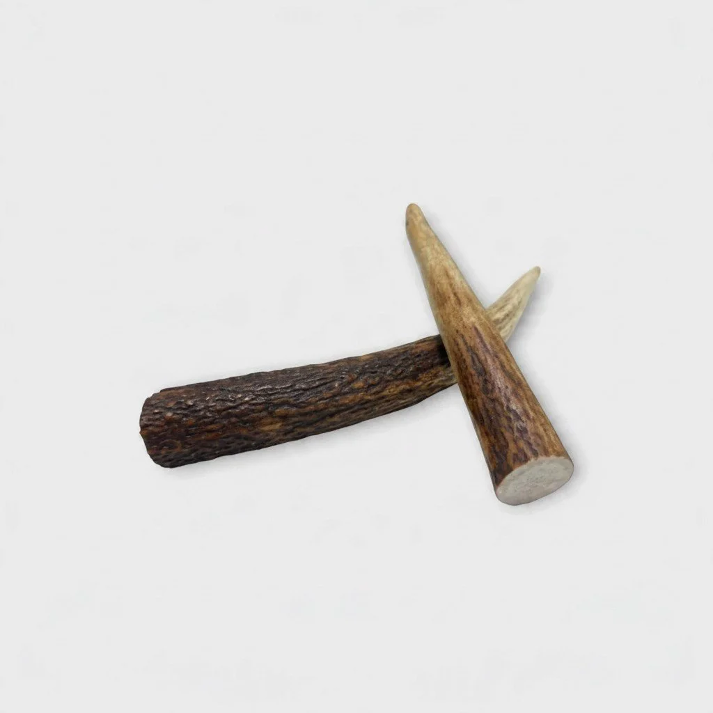 Pet Pavilion Whole Deer Antler