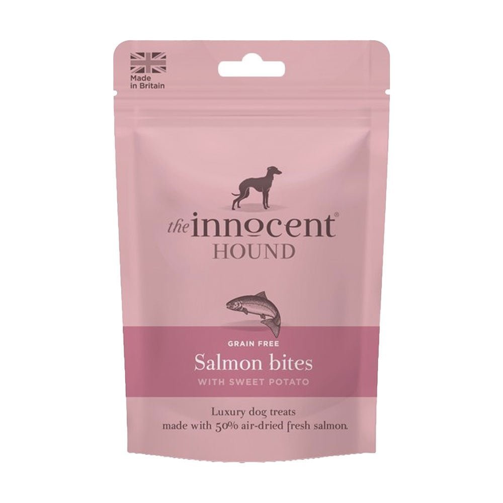Inoccent hound salmon.jpg