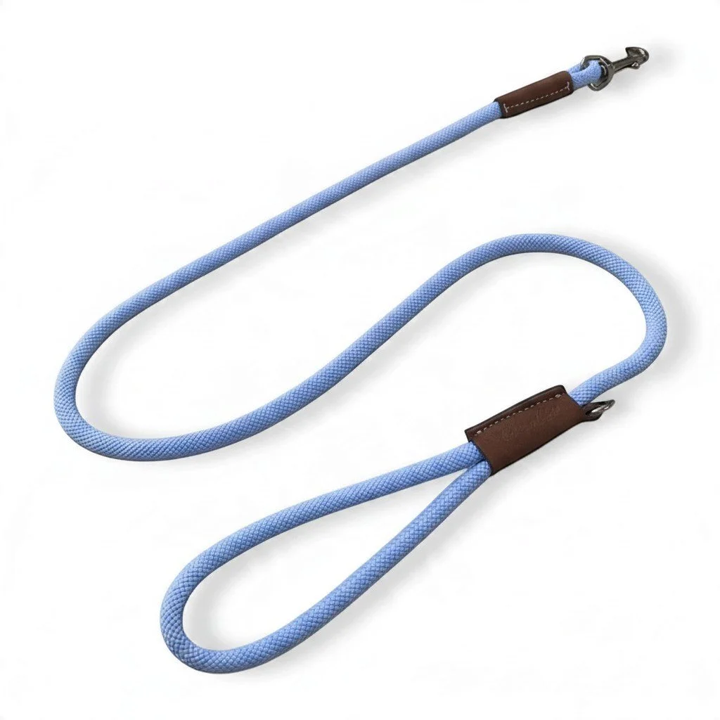 Pet Pavilion Italian Nylon Lead - Blue & Brown
