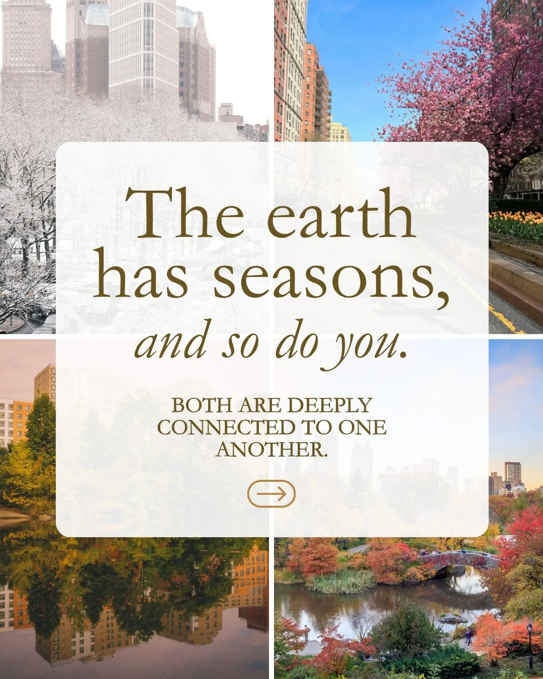 The seasons are mirrors: constantly reminding you of your own cycles.

You are not meant to bloom all year long.

Spring invites renewal.

Summer celebrates expansion.

Autumn teaches release.

Winter whispers rest.

When you fight these rhythms, you