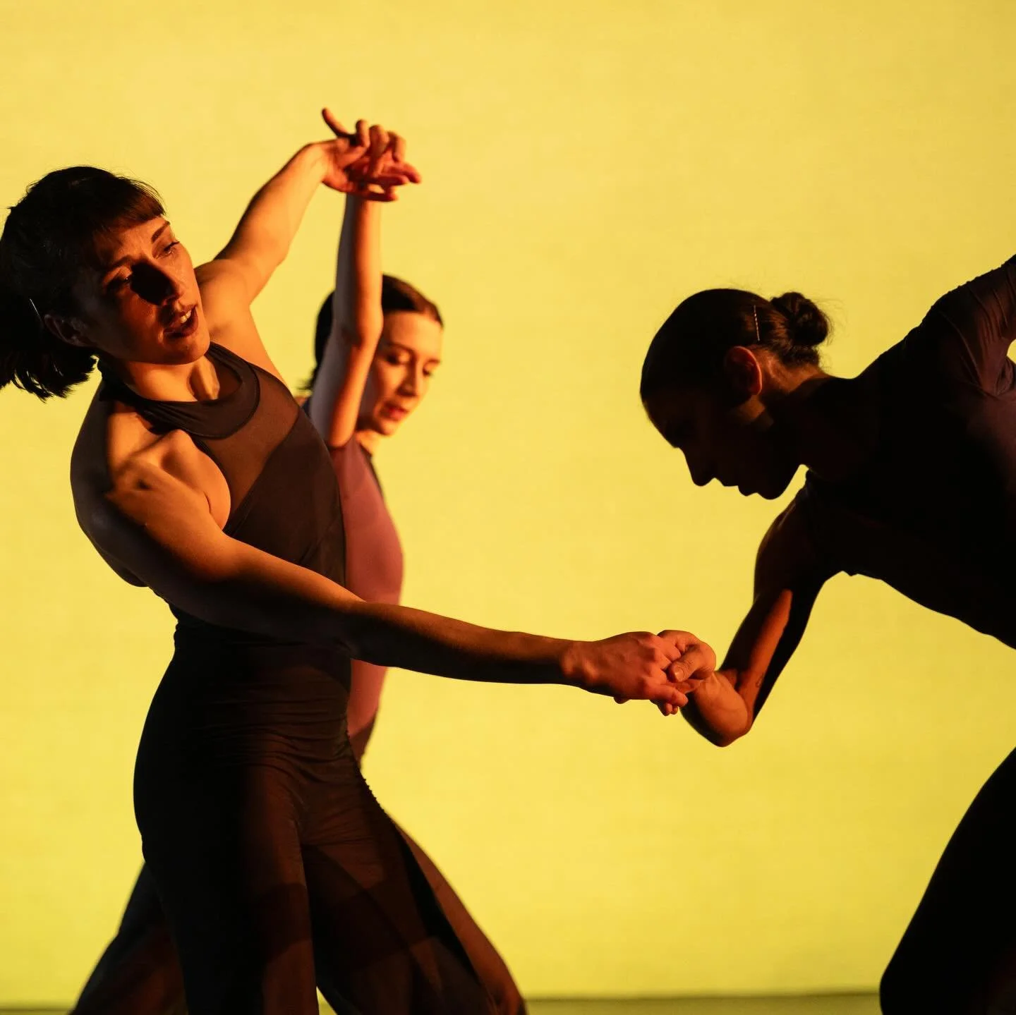 &bull; more from @renversonsdance &lsquo;s performances this past week, these glisinette jumpsuits (wide leg unitards? Something in between?) in greys and deep grey-violets (perhaps my favorite color) appeared on dancers in my first time getting to w