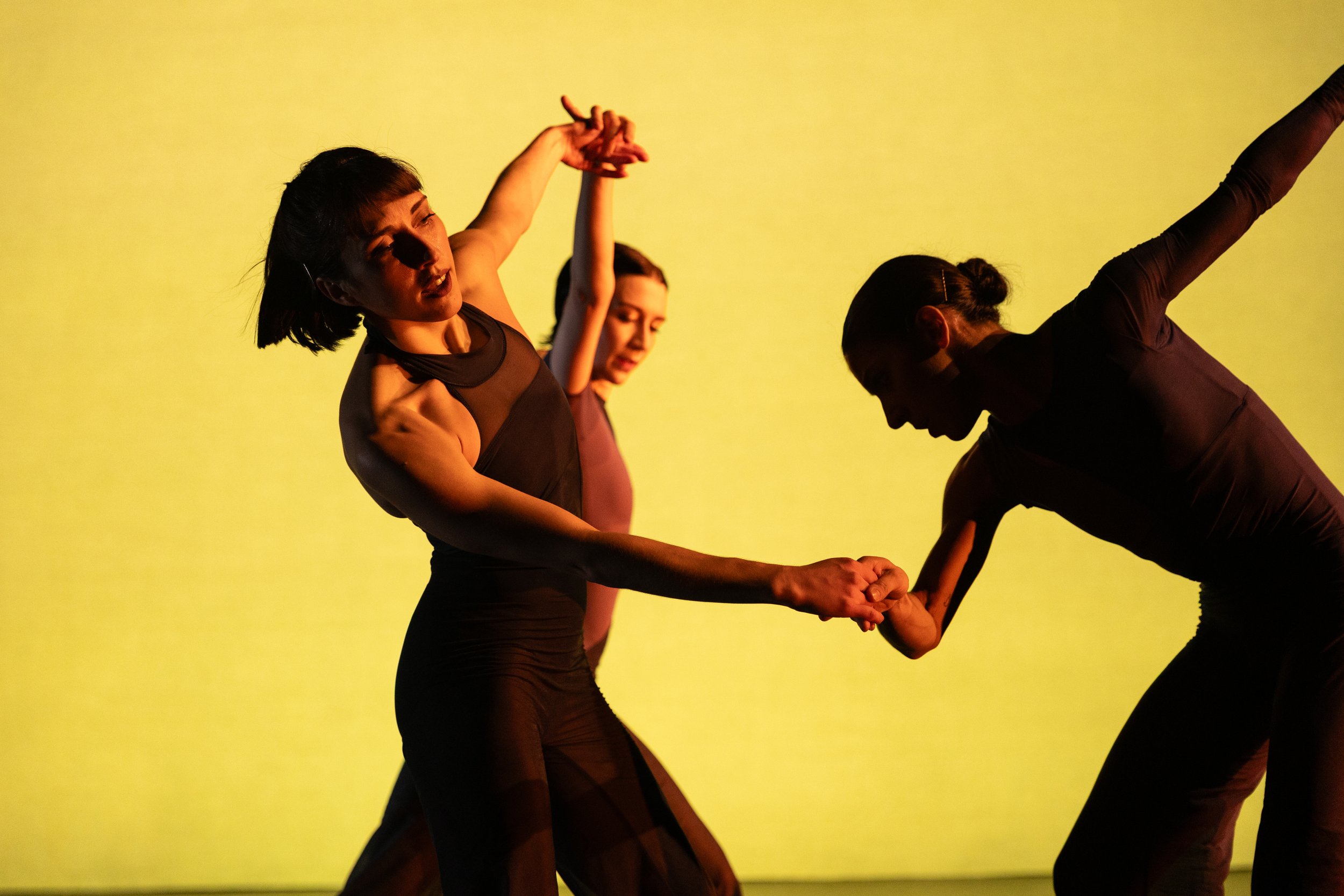 Renversons Dance- Adriana Pierce