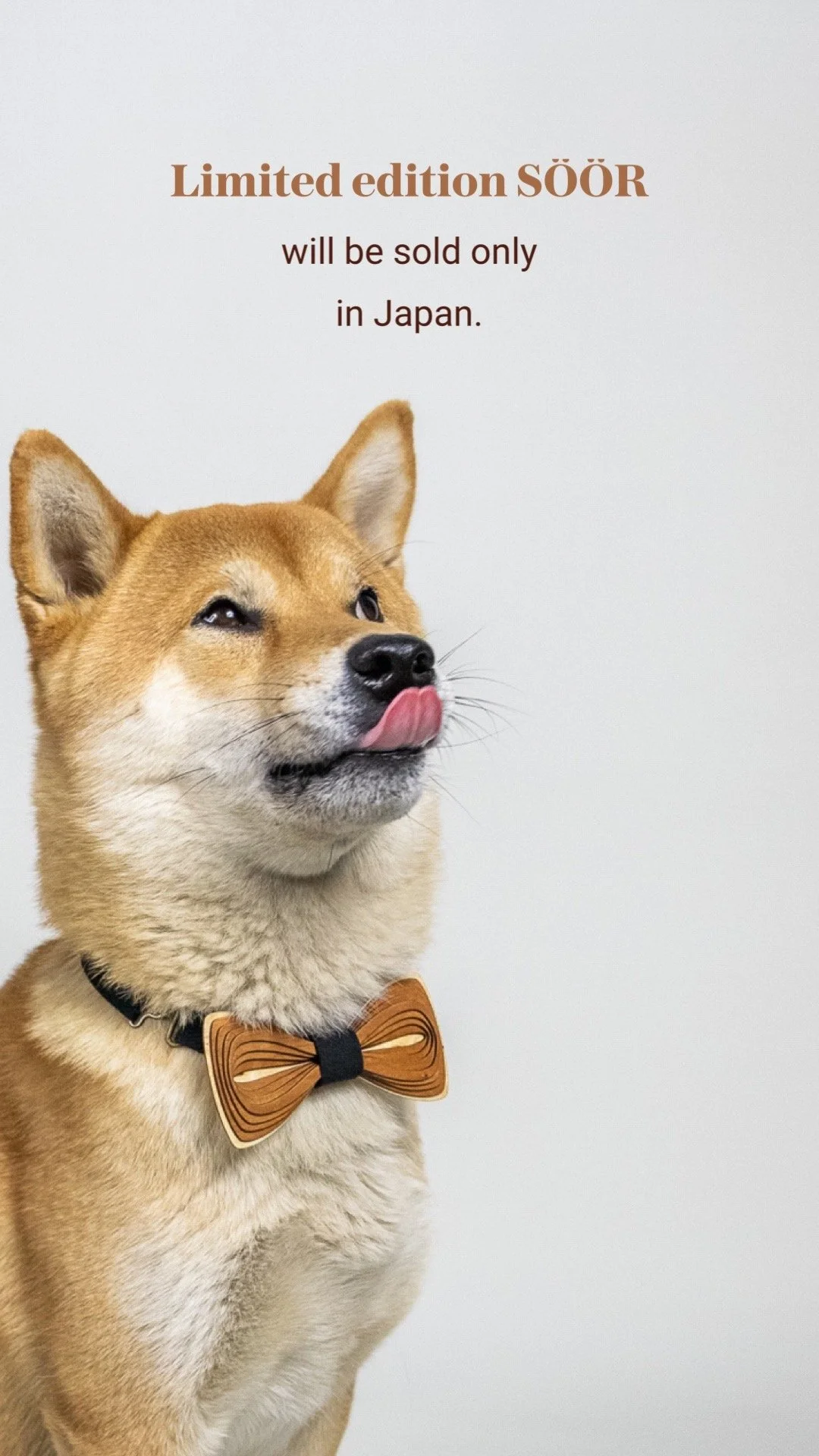 Blog Post Title Four (Copy)