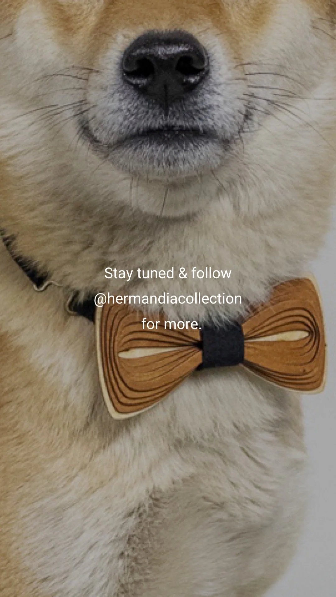 Blog Post Title Three