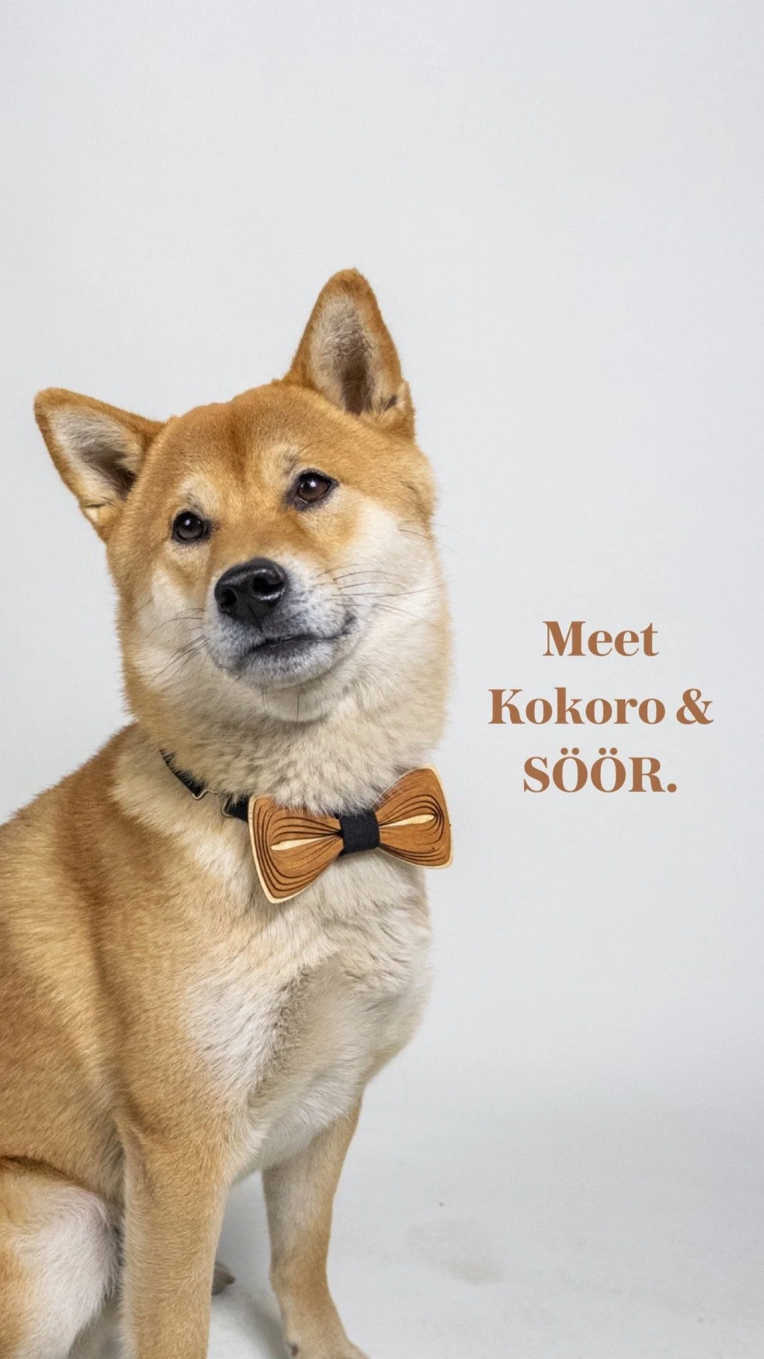 Blog Post Title Four