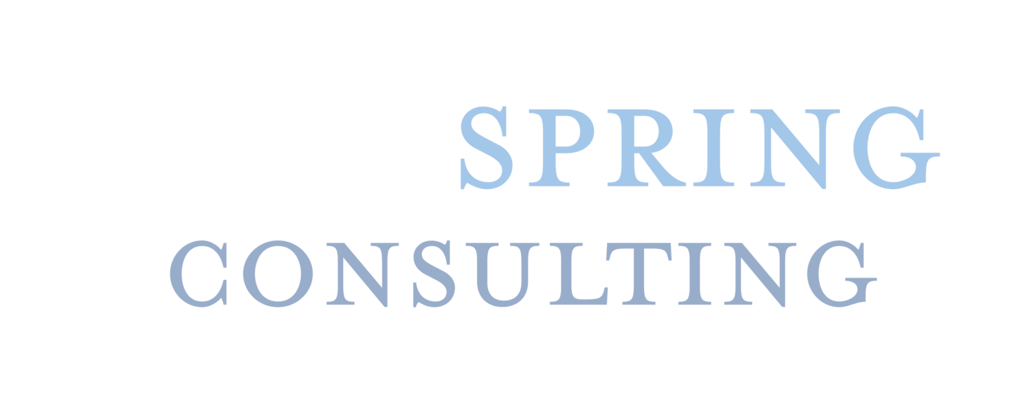 Bluespring Consulting