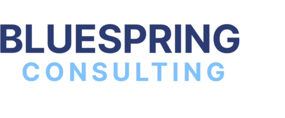 Bluespring Consulting