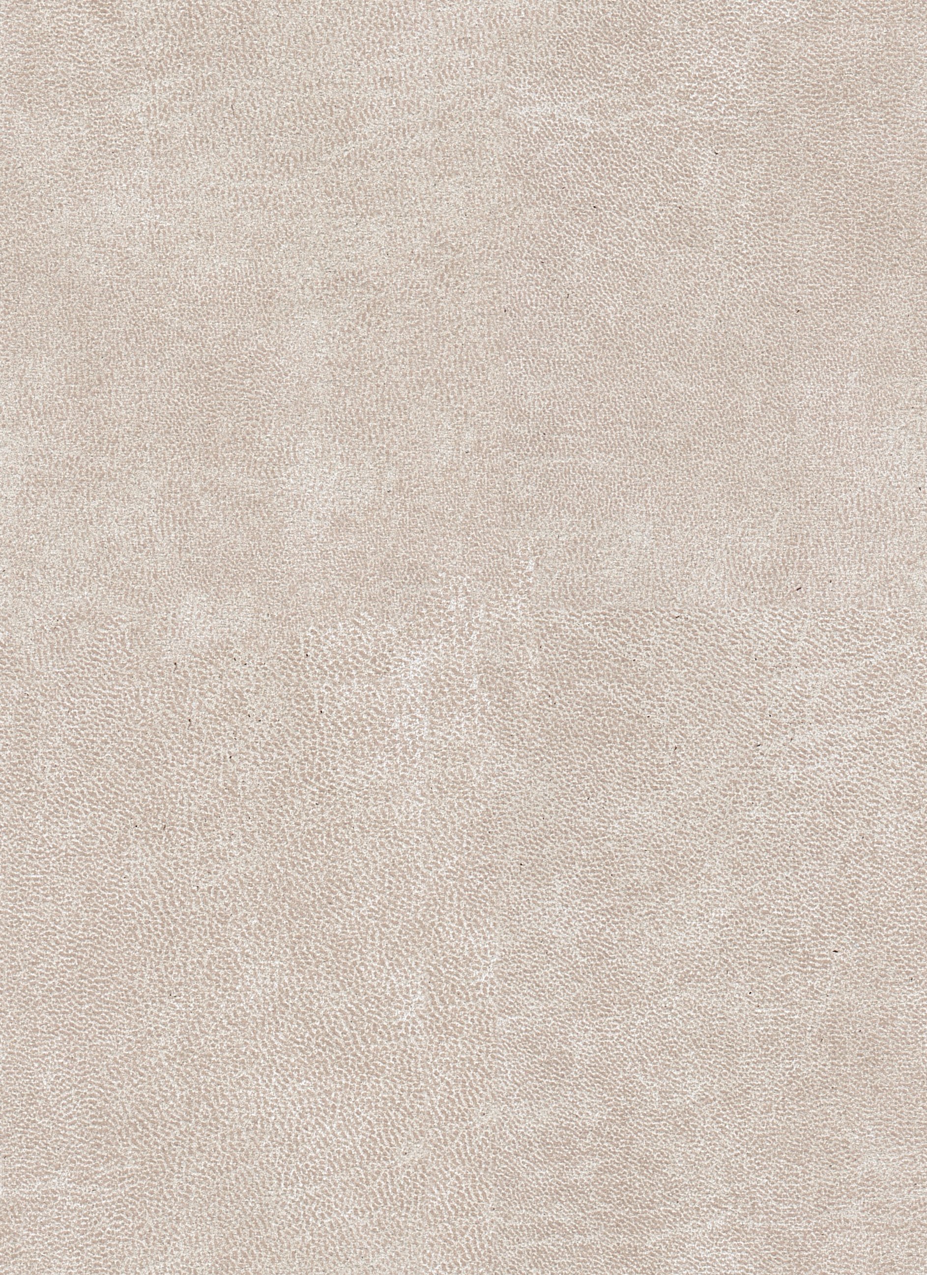Stier Beige 05
