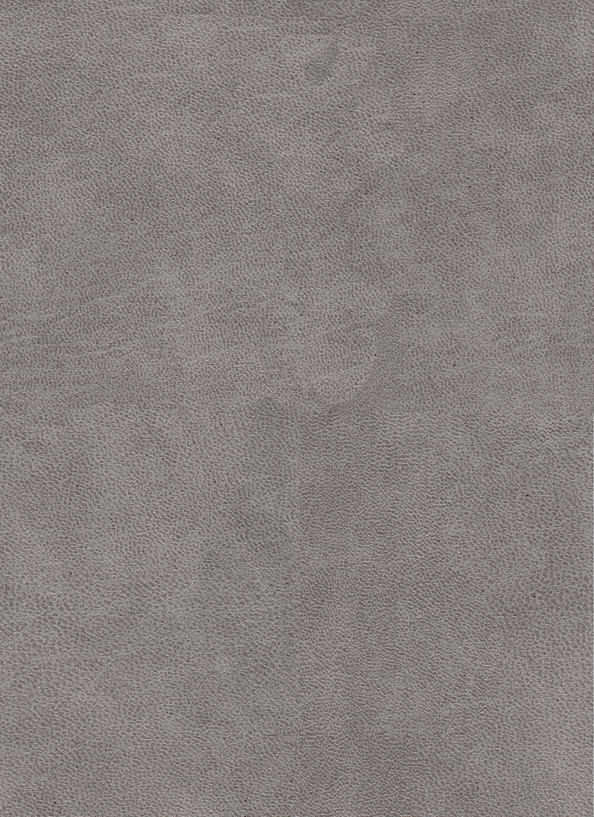 Stier Grau 65