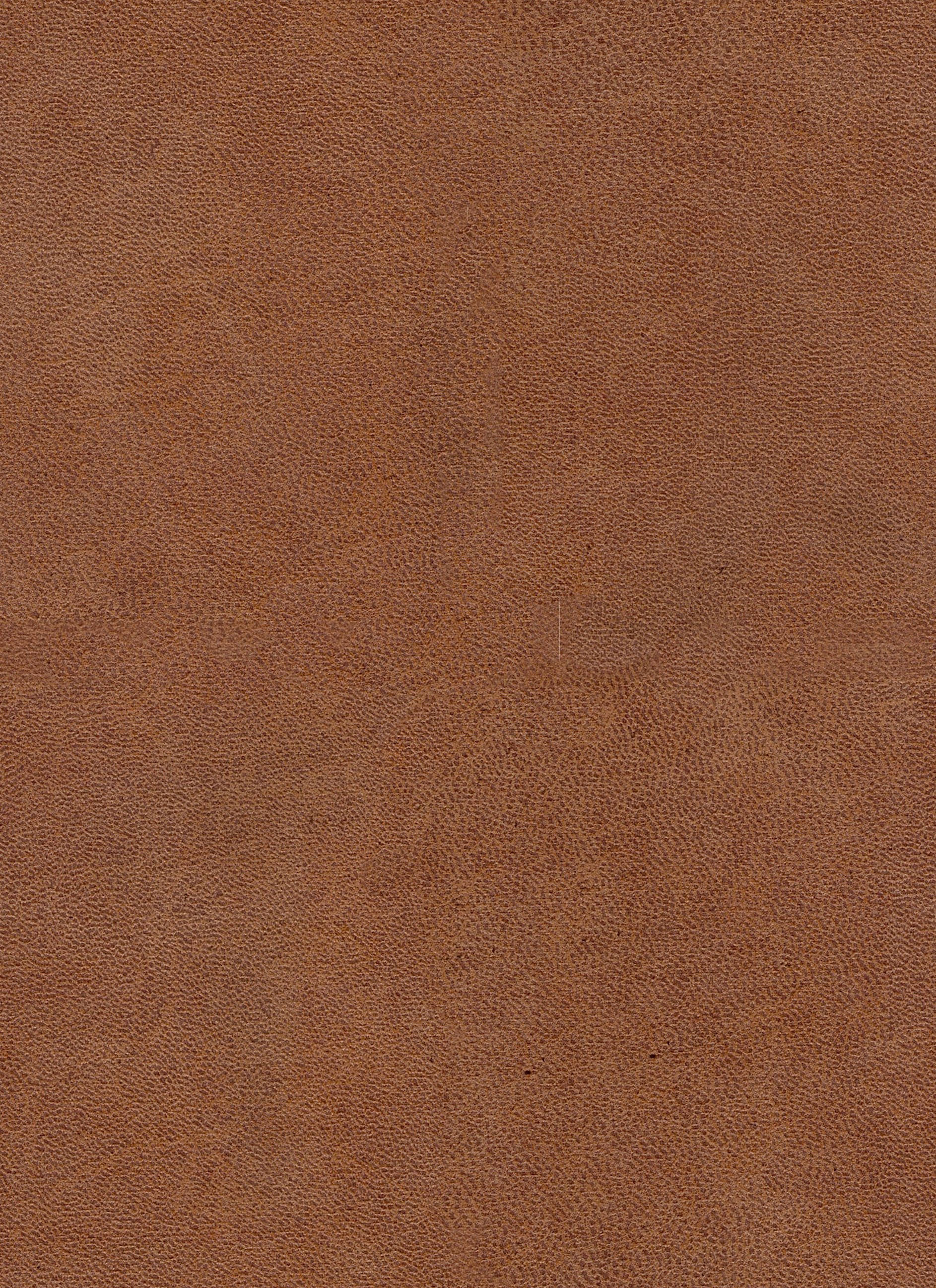 Stier Cognac 28