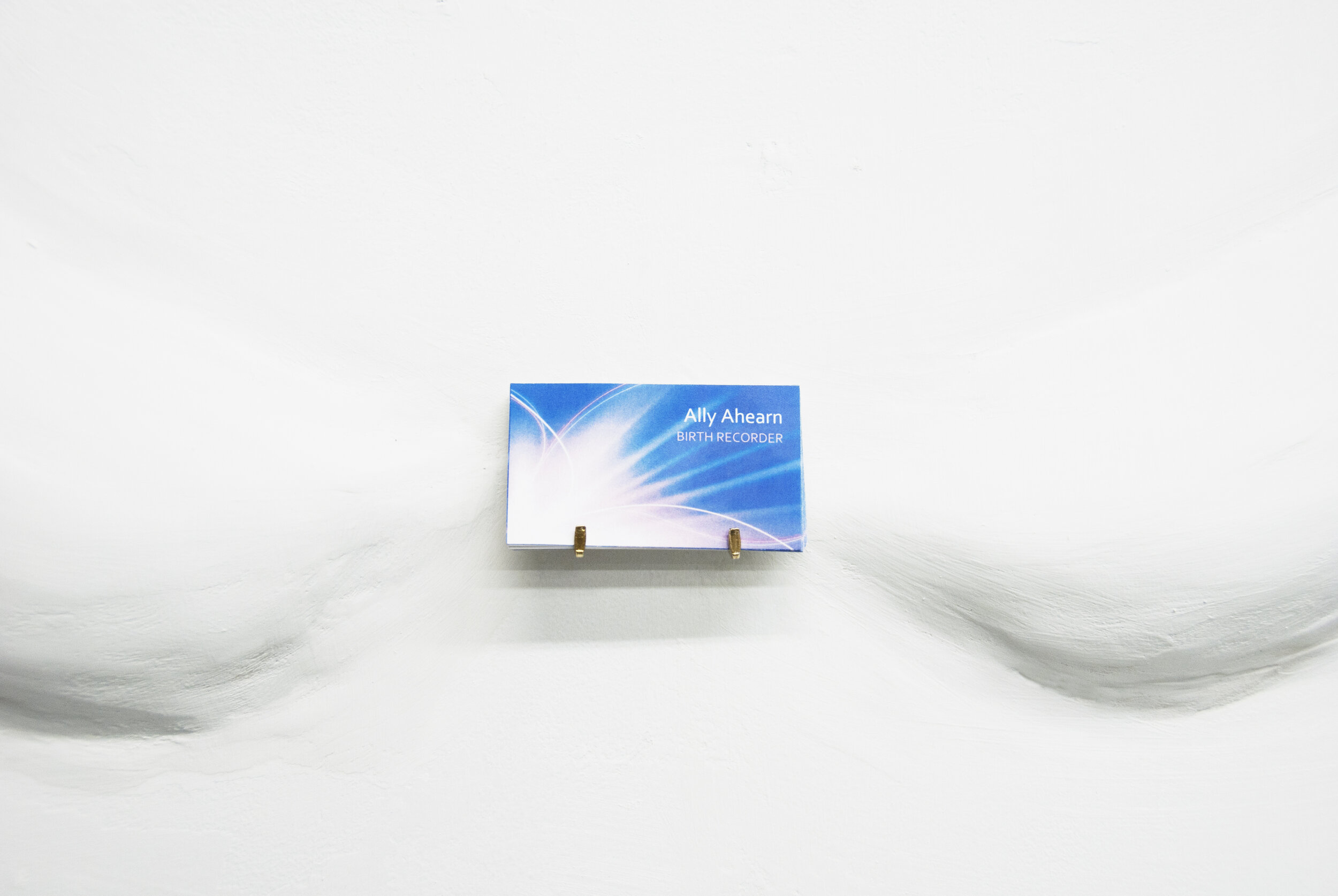 Detail of  Birth Recorder II , 2013, digital print on card stock, latex, plaster, metal, dimensions variable