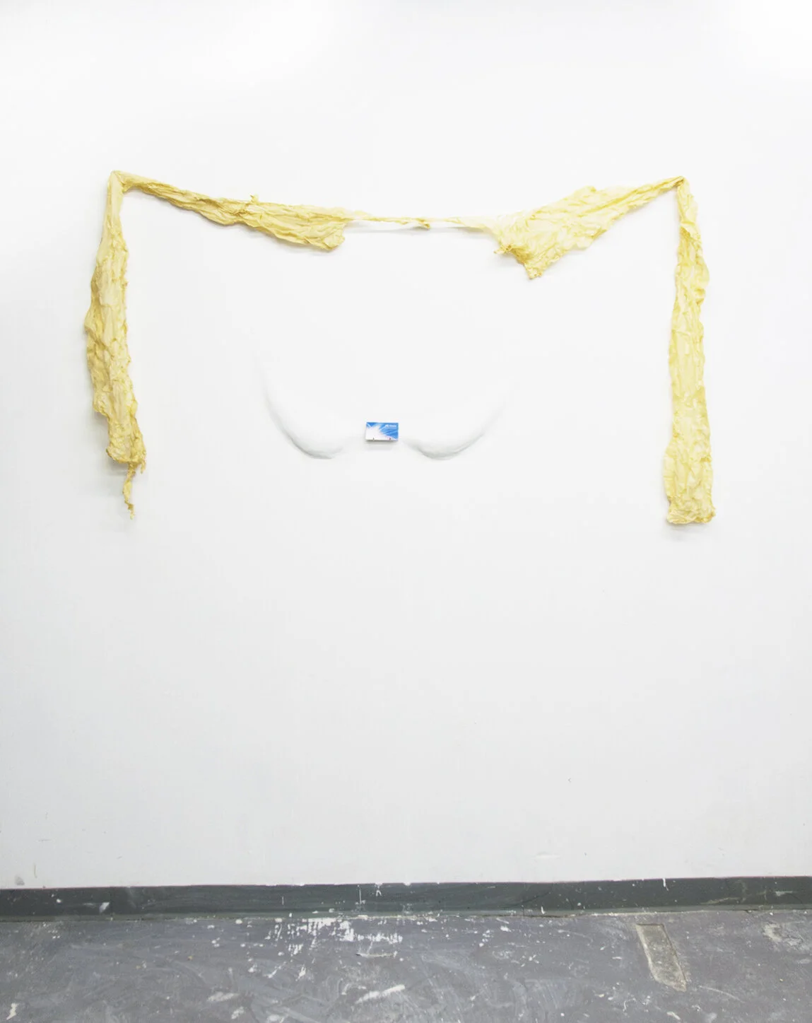  Birth Recorder II , 2013, digital print on card stock, latex, plaster, metal The  Birth Recorder  series takes the name of Ally Ahearn, a woman whose signature appears on my birth certificate as my  Birth Recorder , and presents ways of displaying, 