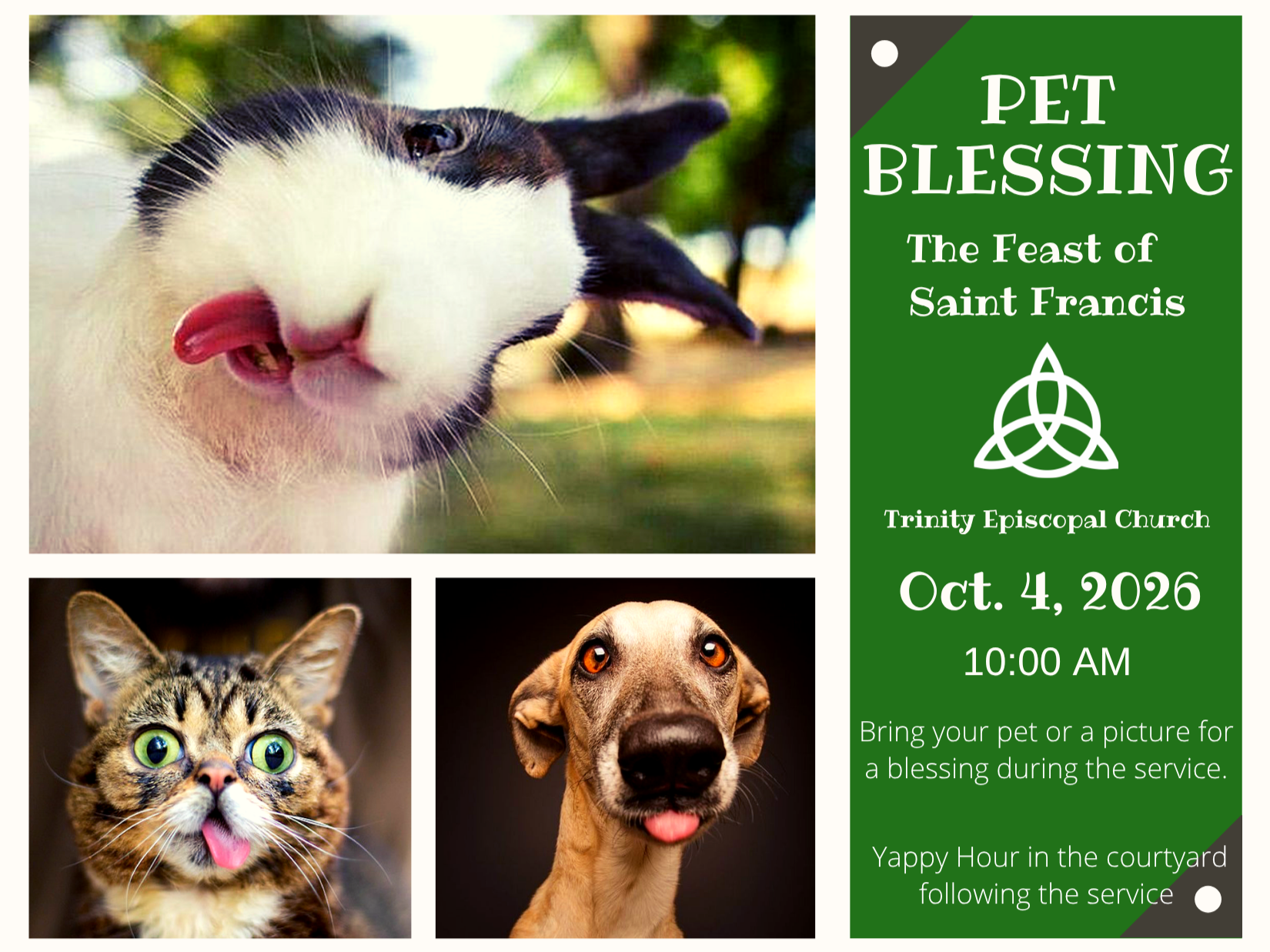 Oct. 4: Feast of St. Francis Pet Blessing