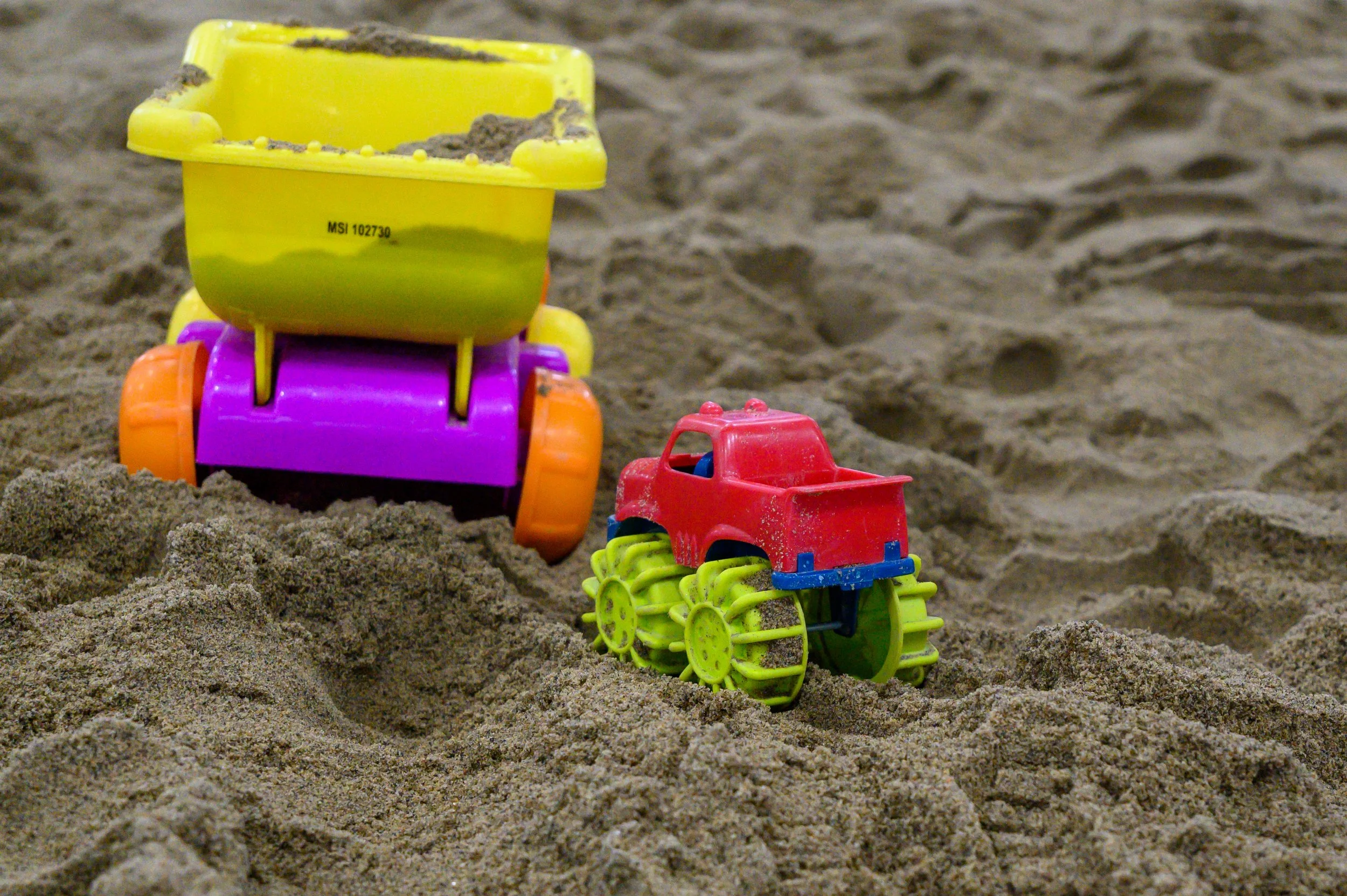 2026 Family Beach Fest Recap