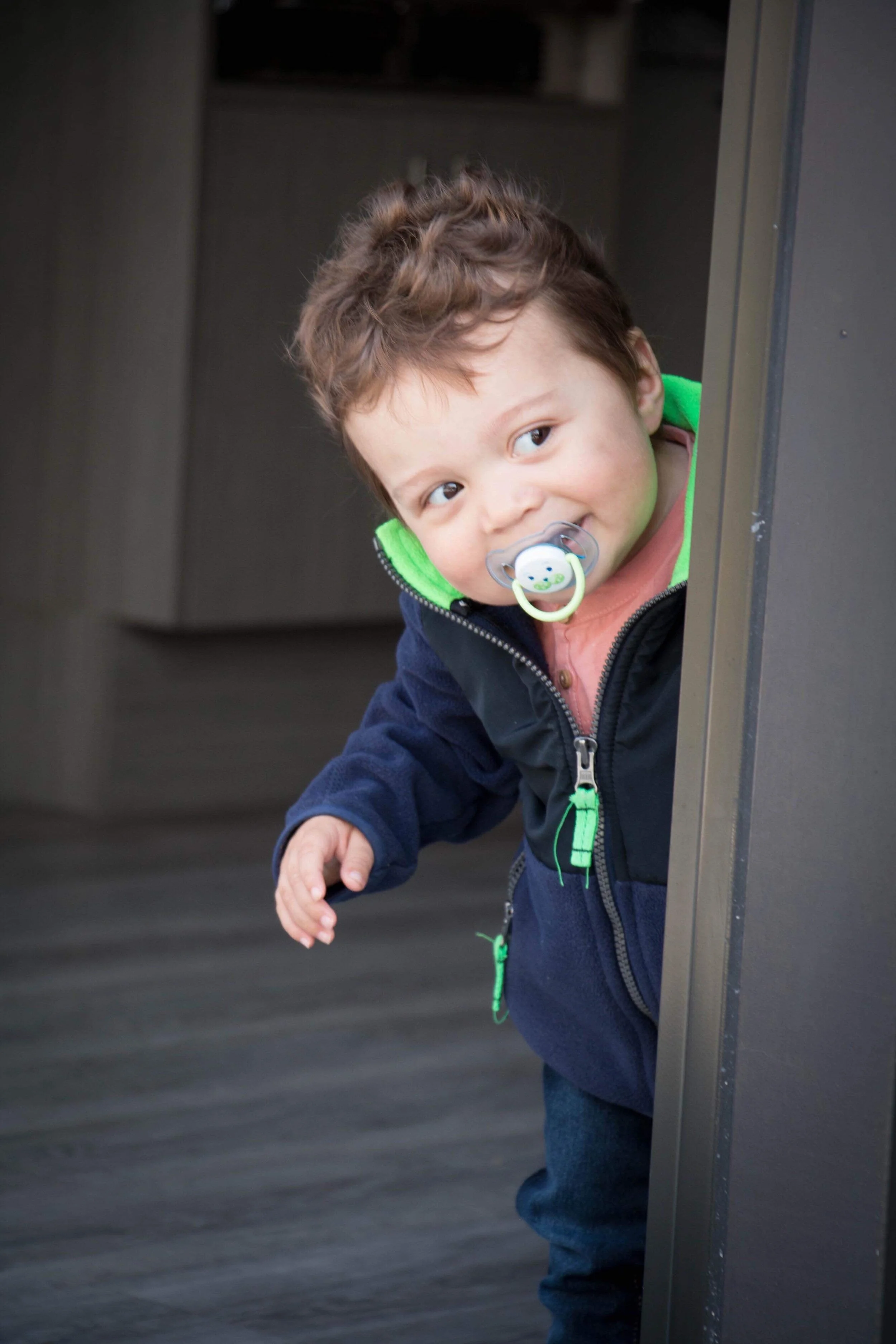 Miracle Max's Minions SUNFLOWER FIELD at Sipkens Nurseries