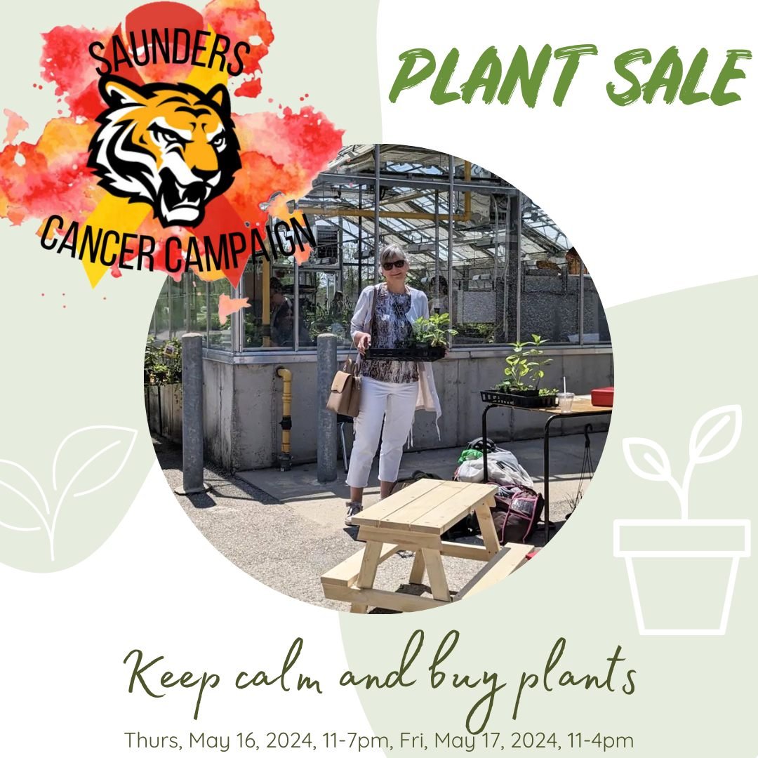 Saunders Secondary School is opening up their greenhouse for the annual plant sale in support of Saunders Cancer Campaign (funds go directly to Childcan).🪴The sale starts today (Thurs) from 11-7pm and tomorrow from 11-4pm. 🌿 Cash only! 

Check out 