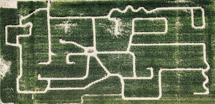 Sauve's Corn Maze 2025